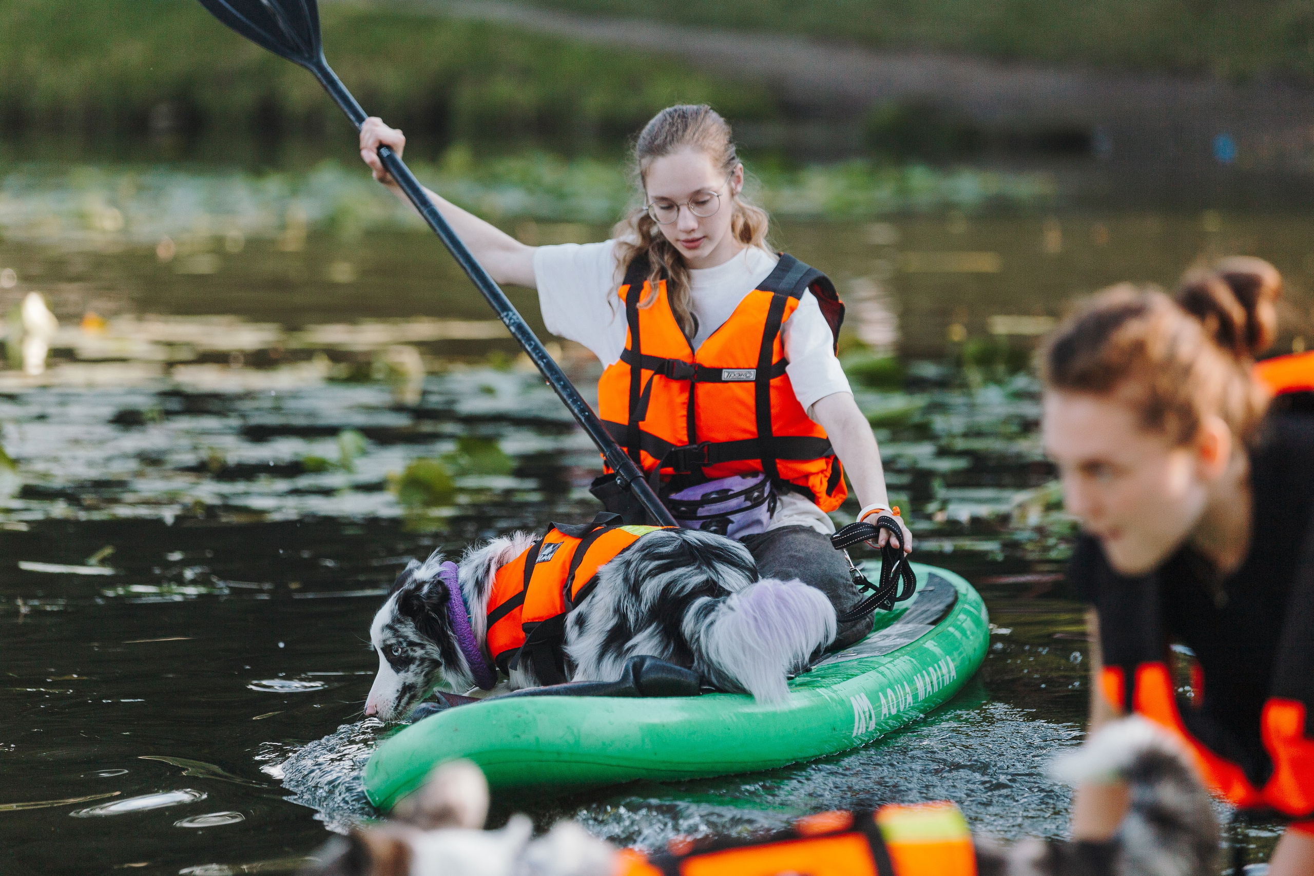 Petshop Sup day. Фотограф анималист Кристина Карпова, Москва
