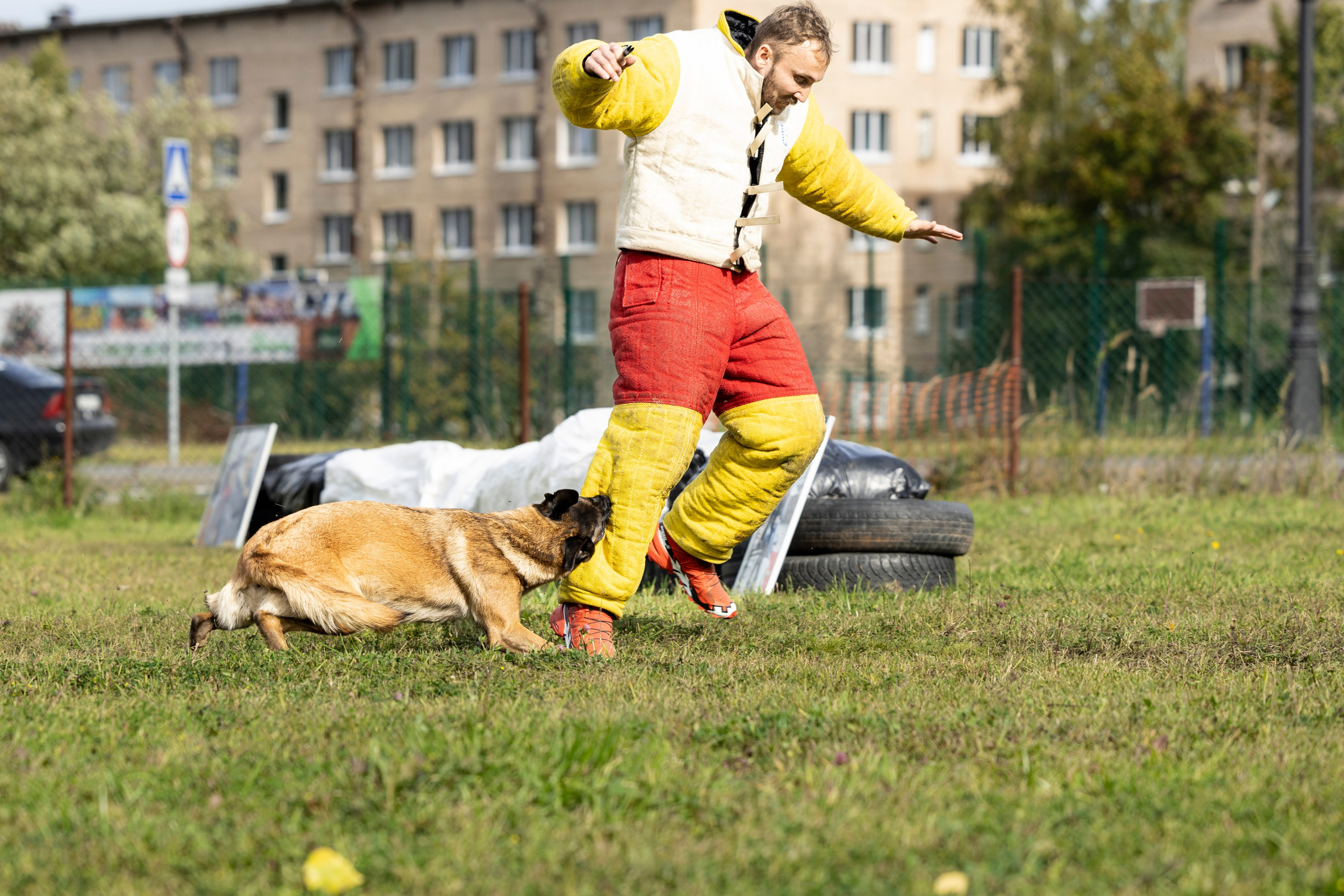 Испытания по Мондьорингу г. Пушкин. Фотограф-анималист Анна Маринич