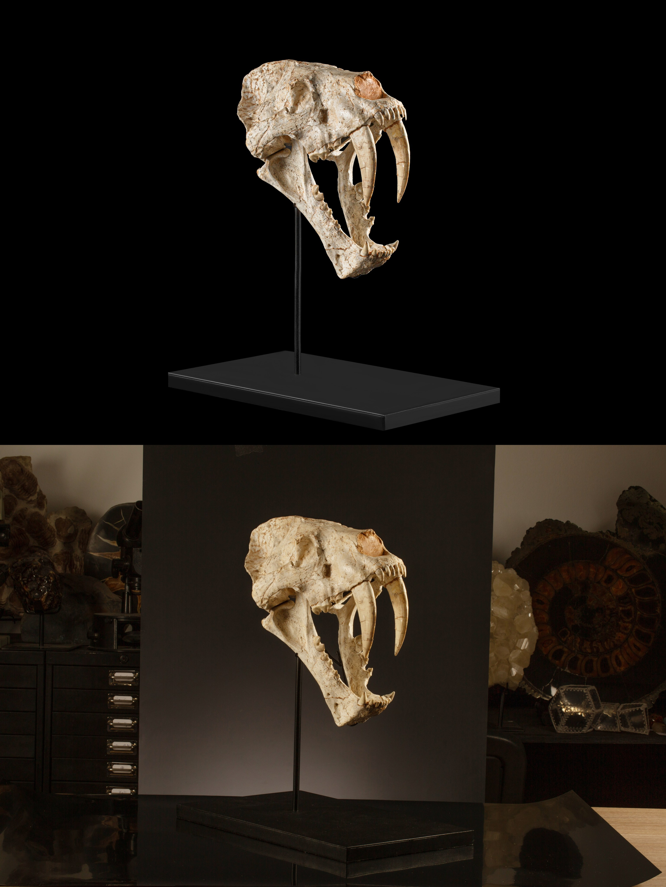 Предметы коллекционирования