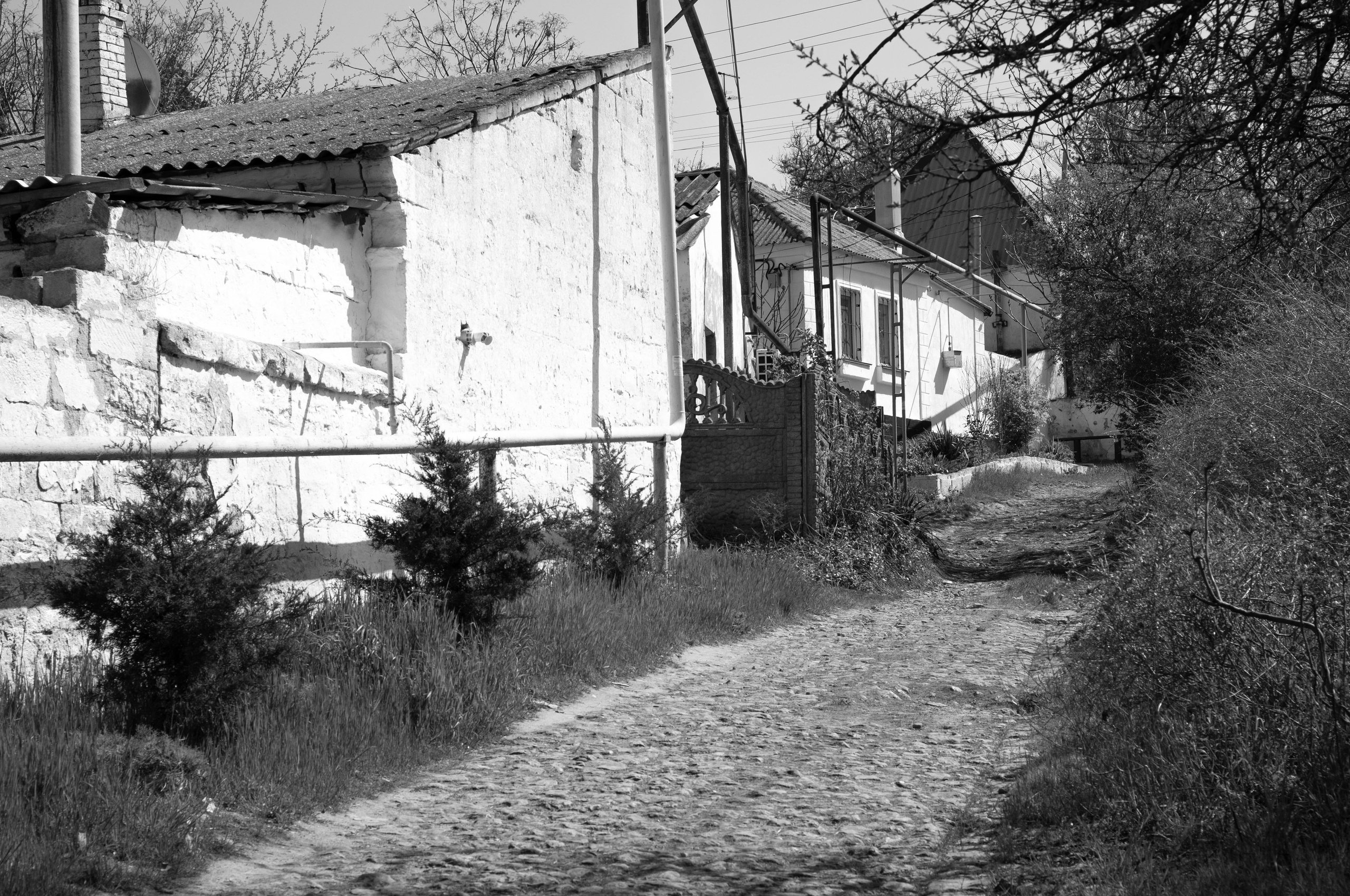 Для души. Сейчас вылетит ПТИЧКА! Фотосессии в Керчи