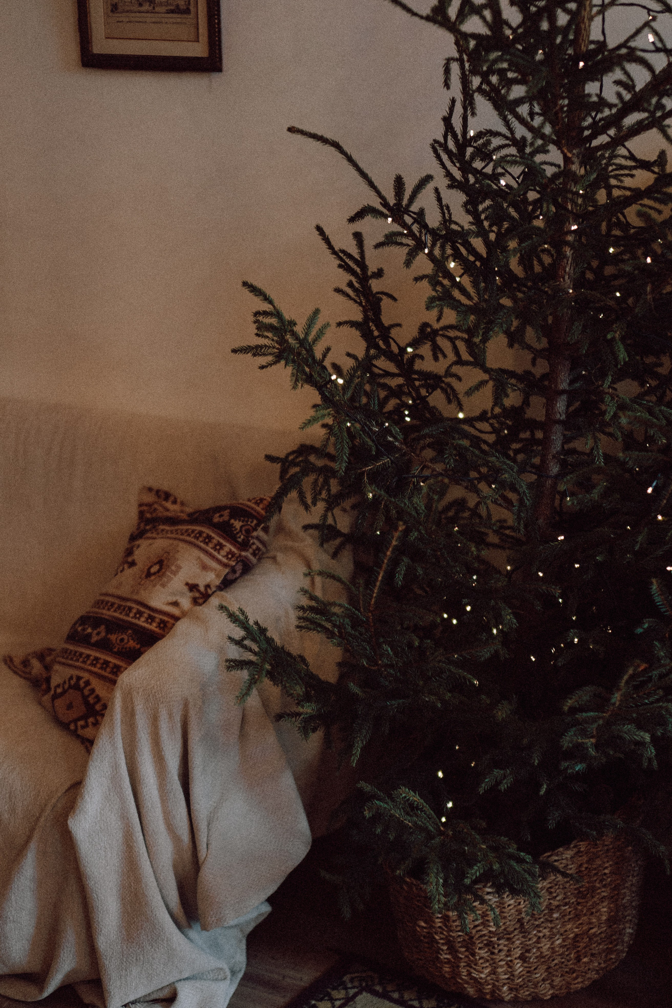 Новогодний стиль вдвоем. Профессиональный фотограф, Санкт-Петербург — Виктория Богомолова