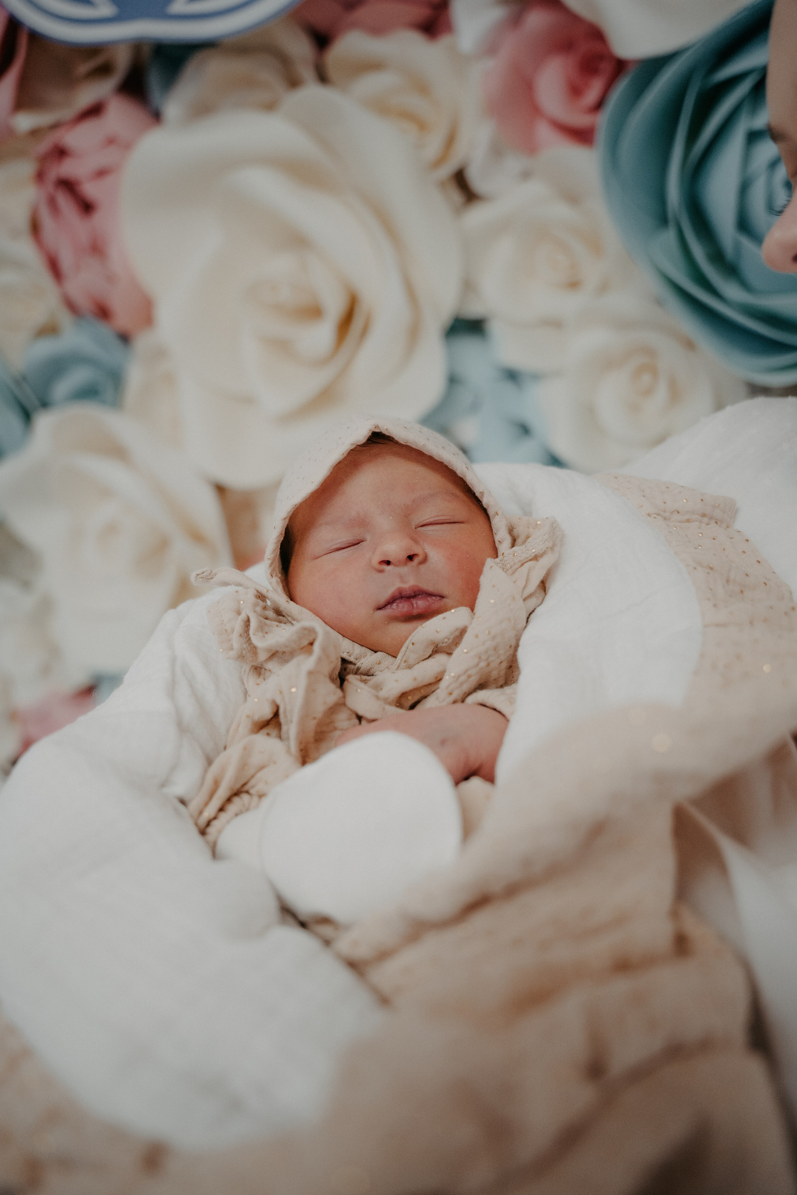 Вика и Дима. Аплас Анастасия