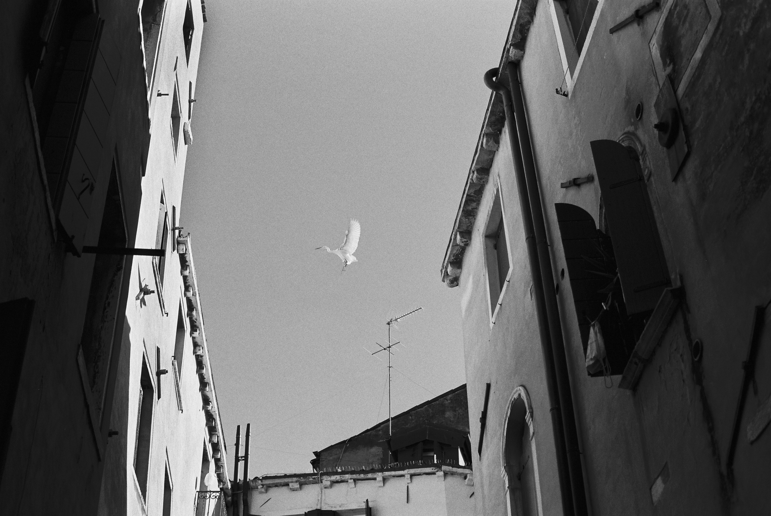 Fine art. Katya Zimina, film photographer based in Lisbon, Portugal