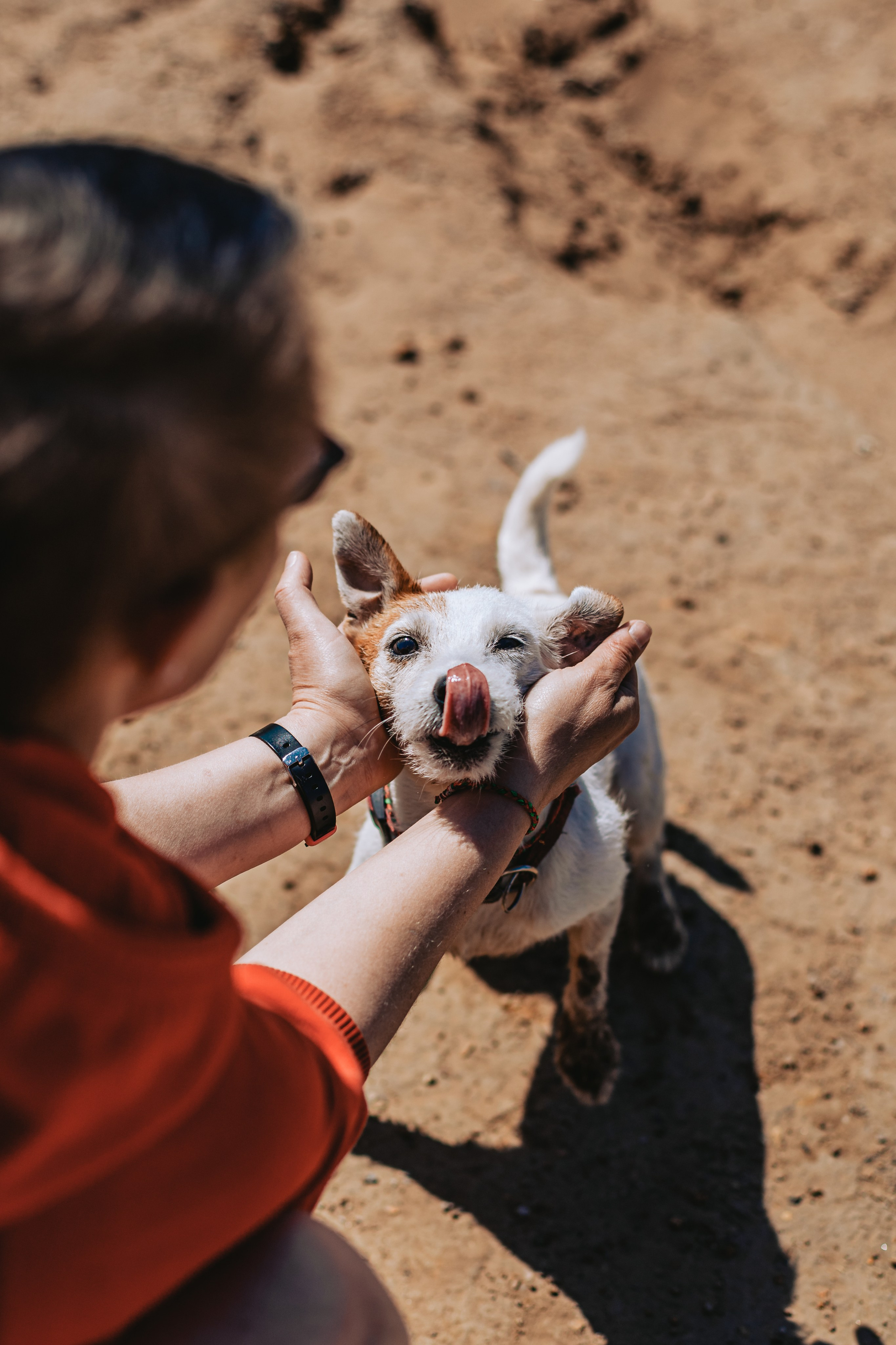Кондуки. Фотограф-анималист Татьяна Степанова