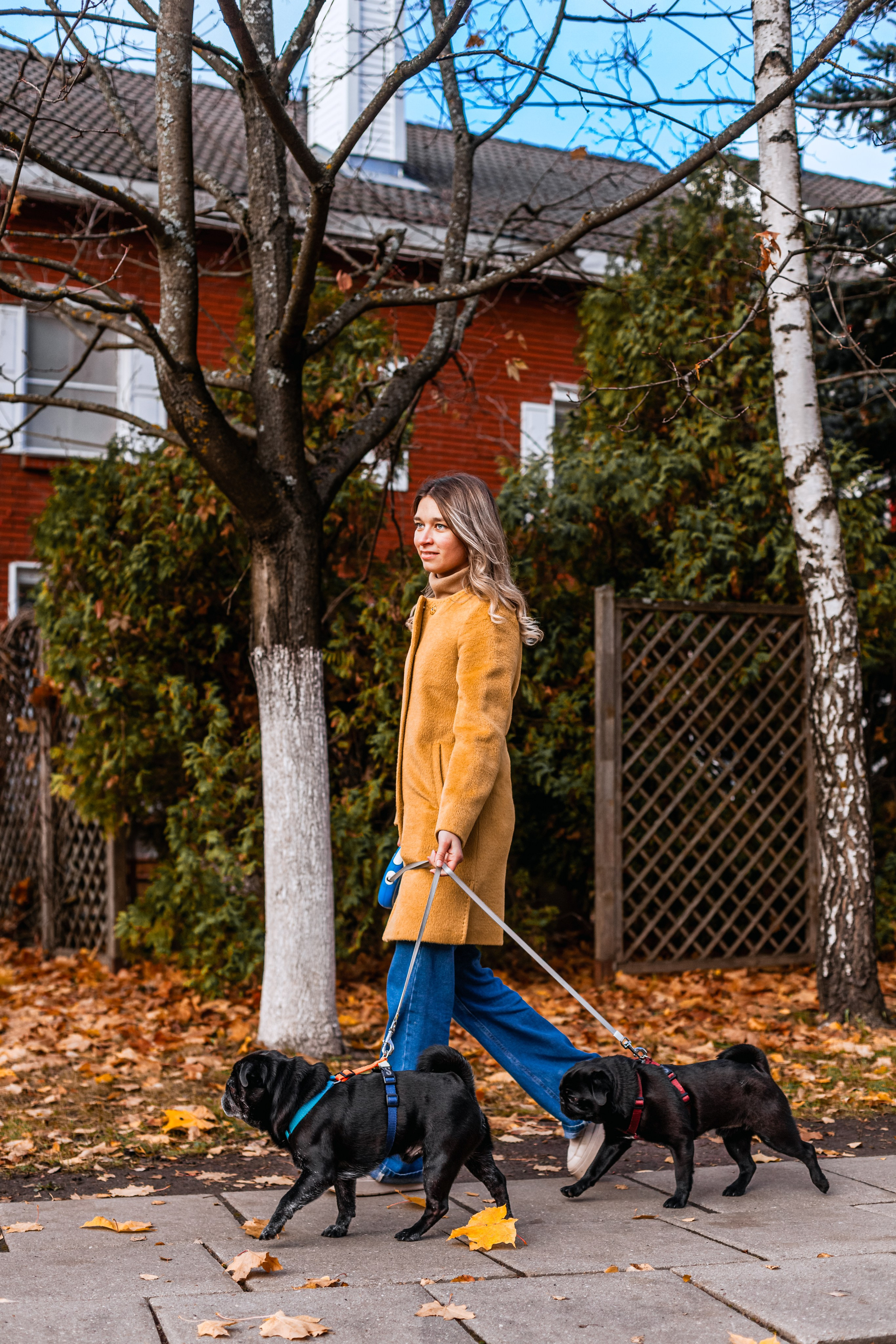 Оля, Харви, Луис. Фотограф-анималист Татьяна Степанова