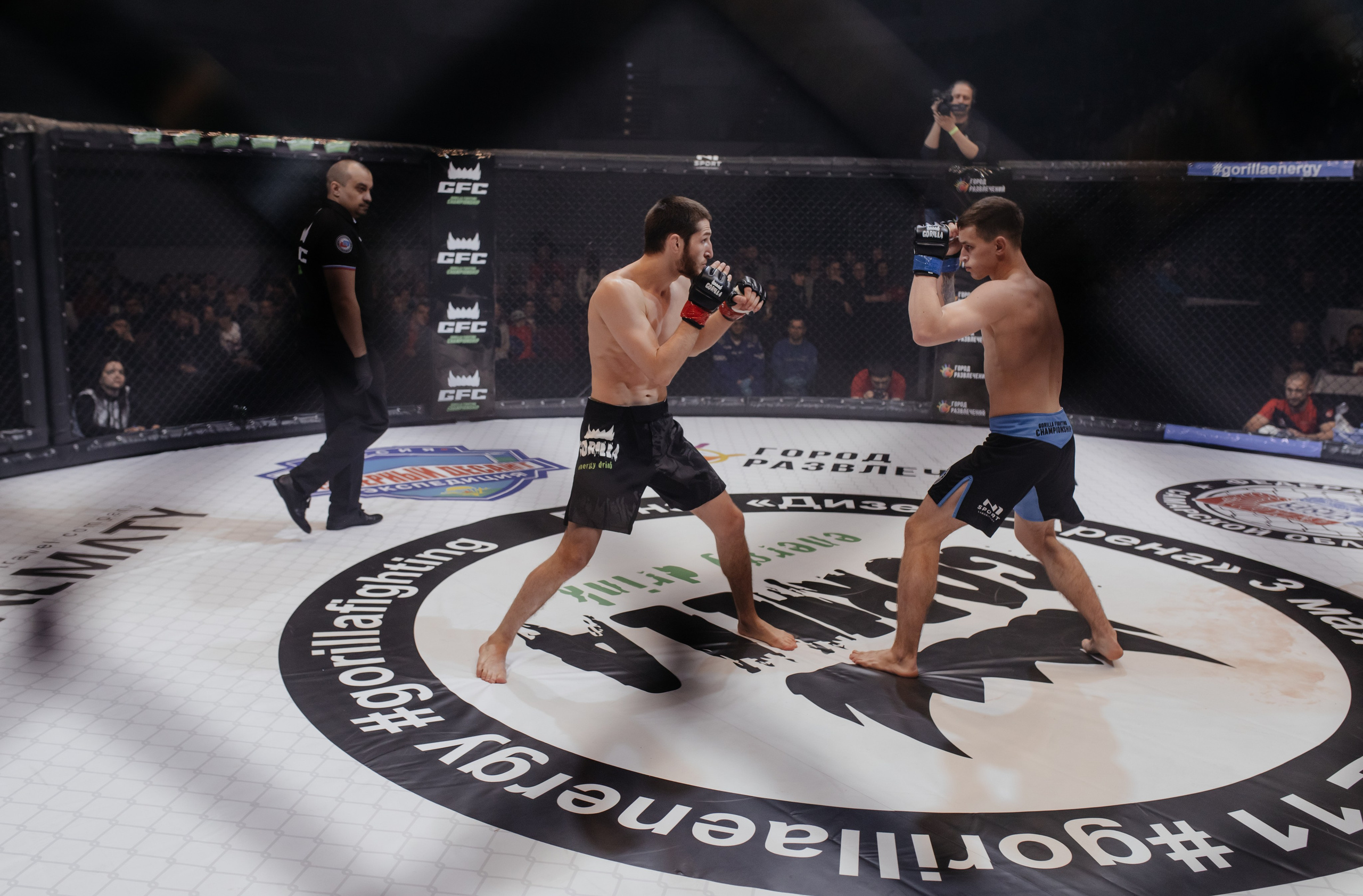 Gorilla Fighting Penza. Репортажный, event, концертный и backstage фотограф из Москвы Виталий Кривцов