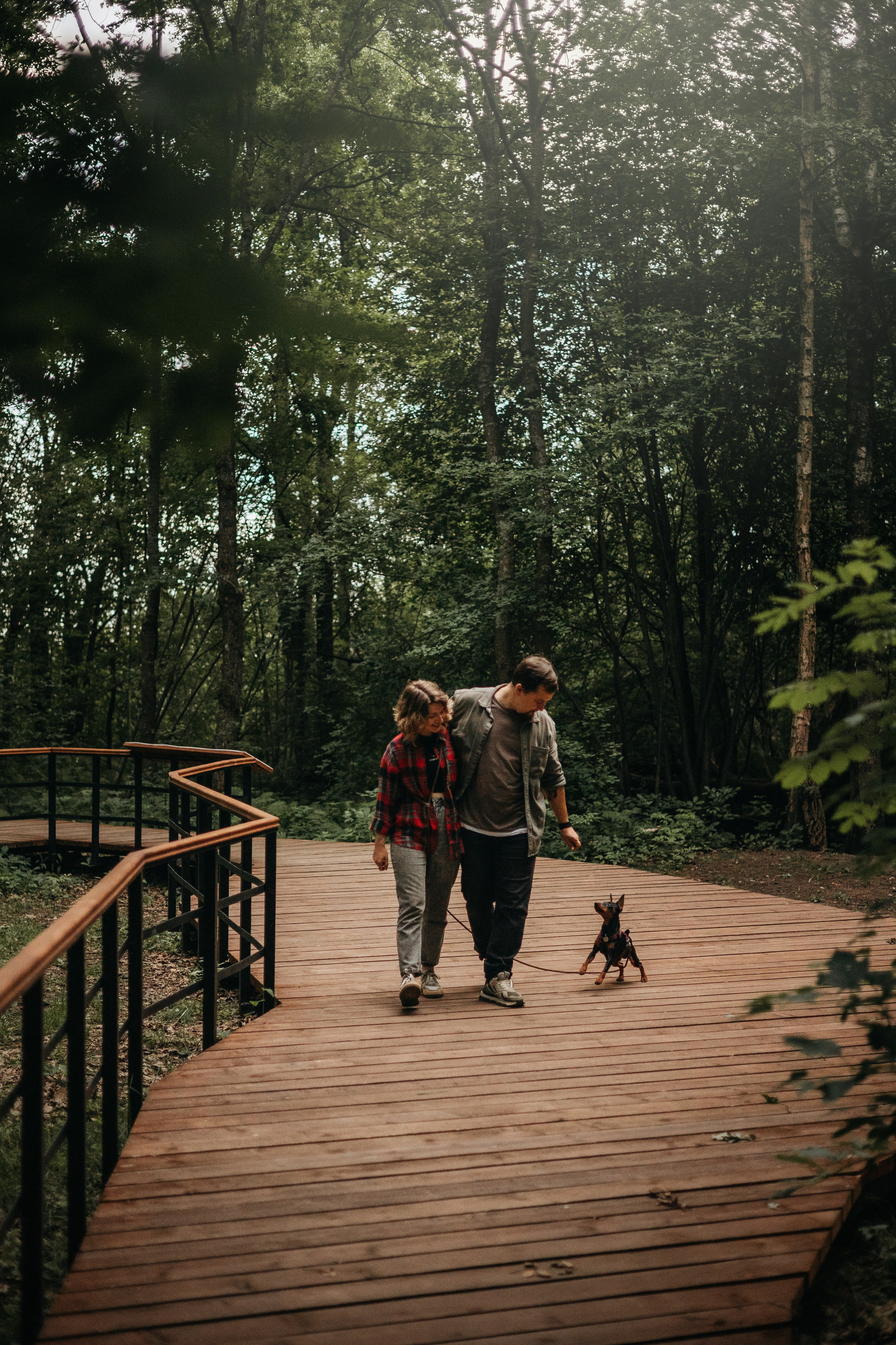 Сириус и его семья. Фотограф — Анималист | Санкт-Петербург