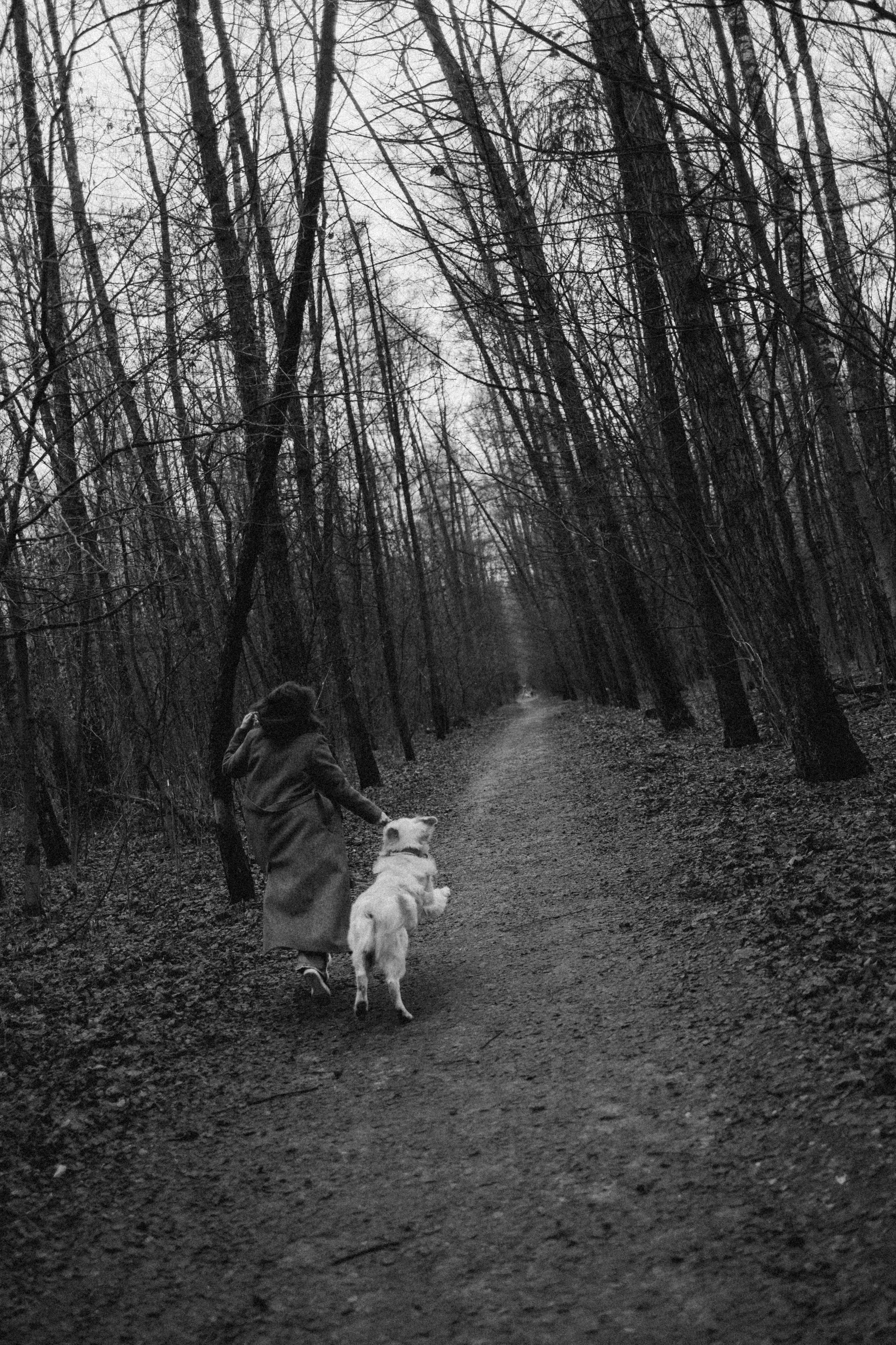 Лаки и его семья. Фотограф — Анималист | Санкт-Петербург