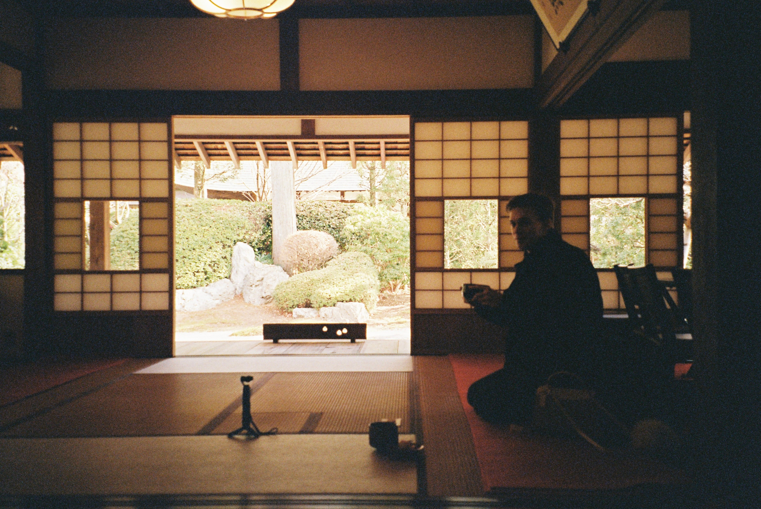 Пленка. Фотограф Алина Диева Москва | Токио