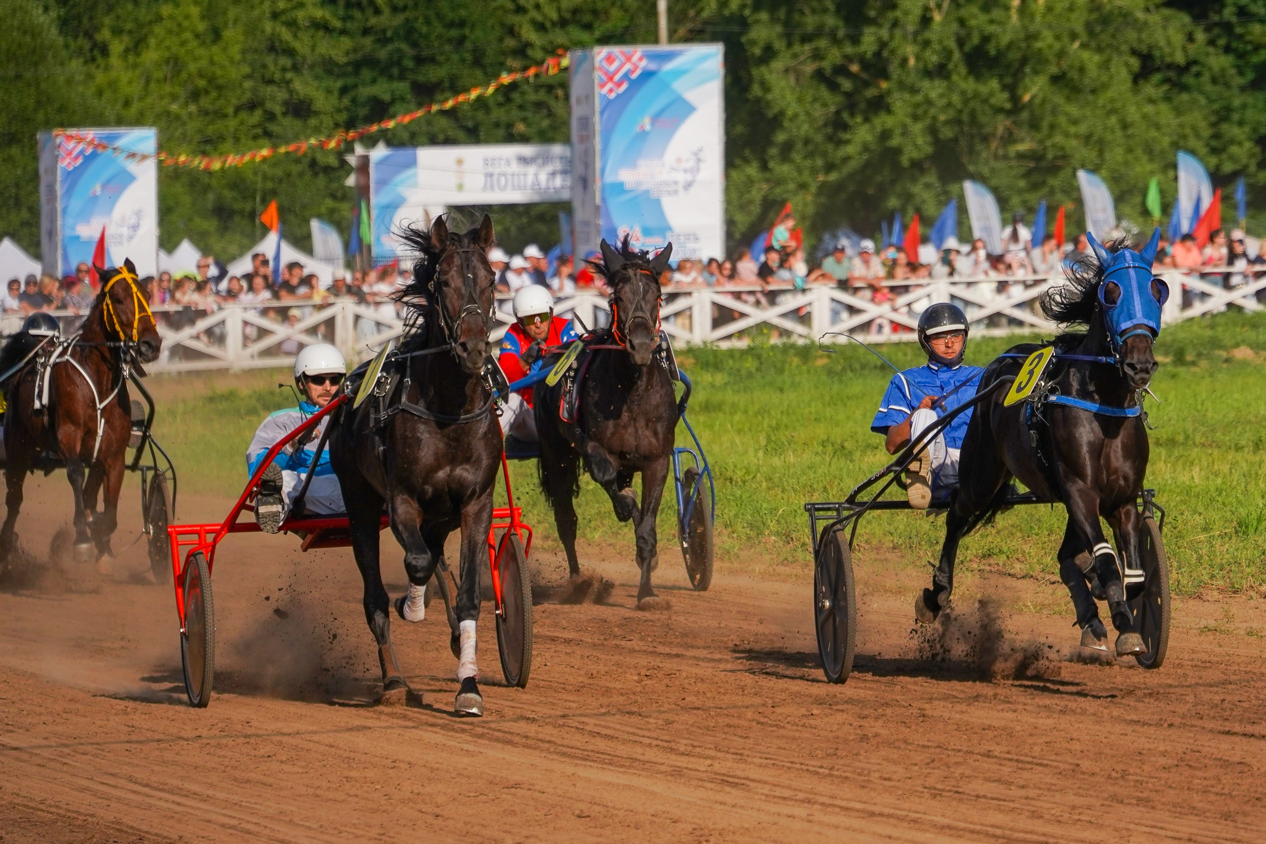 III конные бега на Кубок Главы Чувашии. Фотограф-анималист, портретный фотограф в Чебоксарах Мария Садыкова