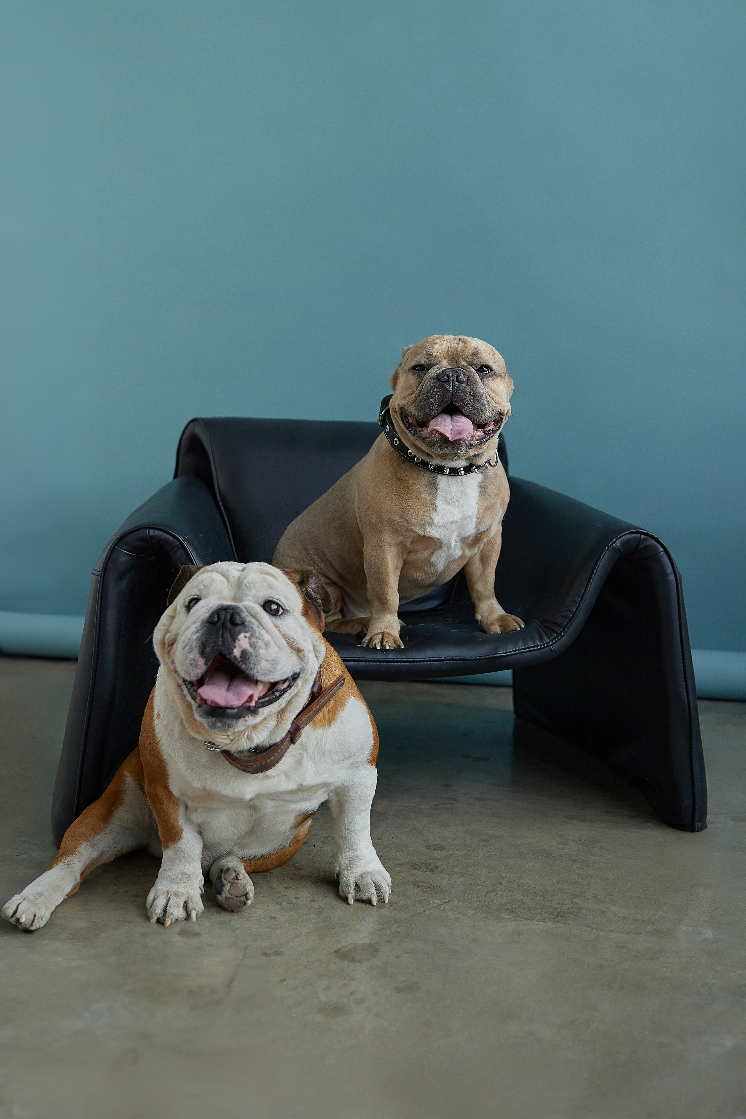 Наталья. Фотограф женского портрета, беременности и материнства Харькова Елена