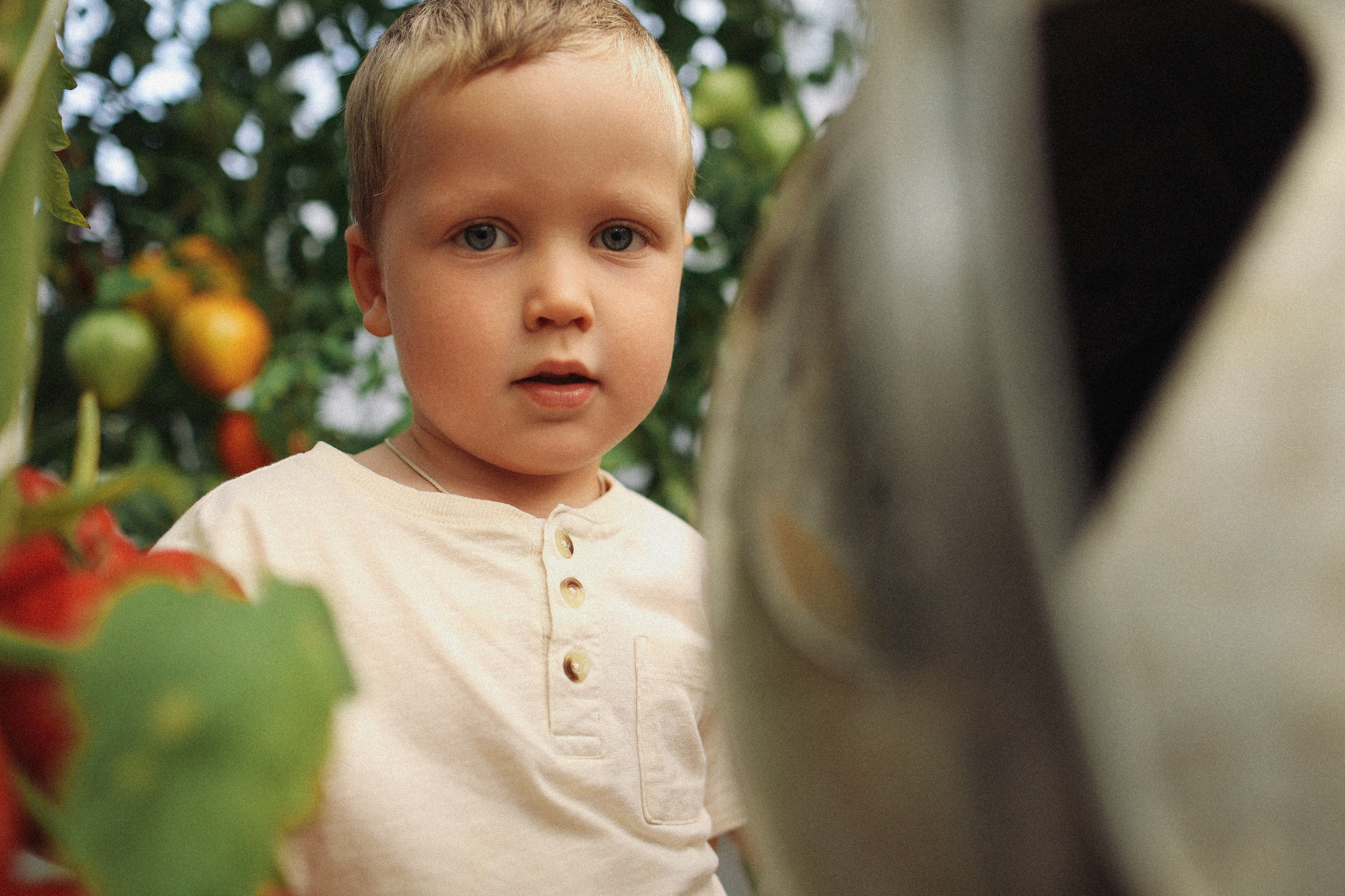 Помидорки Света и Мишенька. Фотограф Владимир Москва
