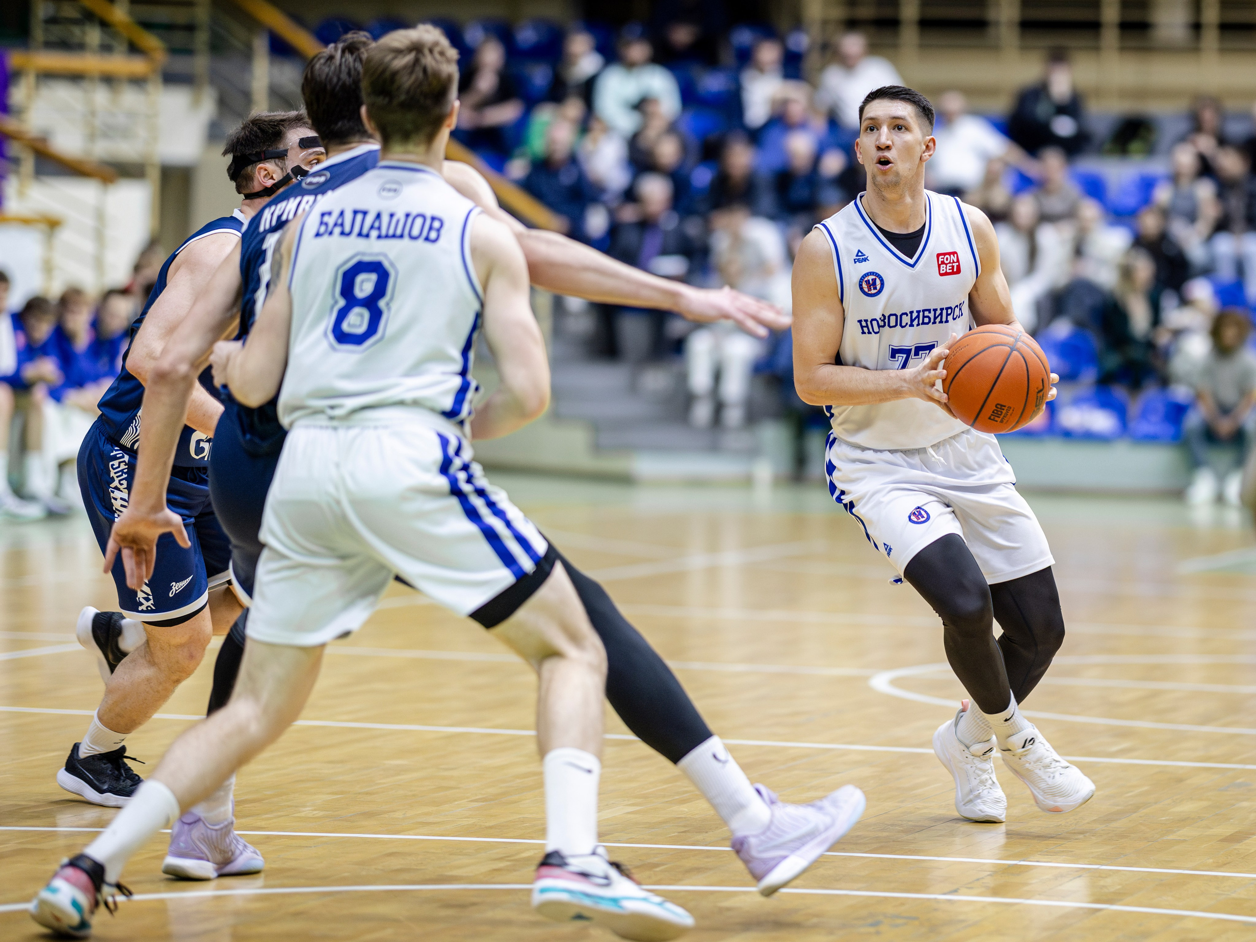 БК Новосибирск. Bertran Ordo