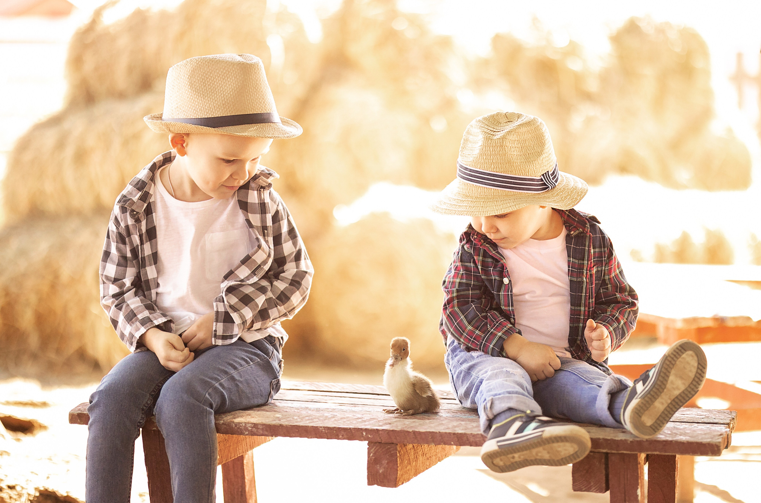 Природа. Свадебный фотограф в Астрахани. Фототуры по Астрахани и в горы Кавказа