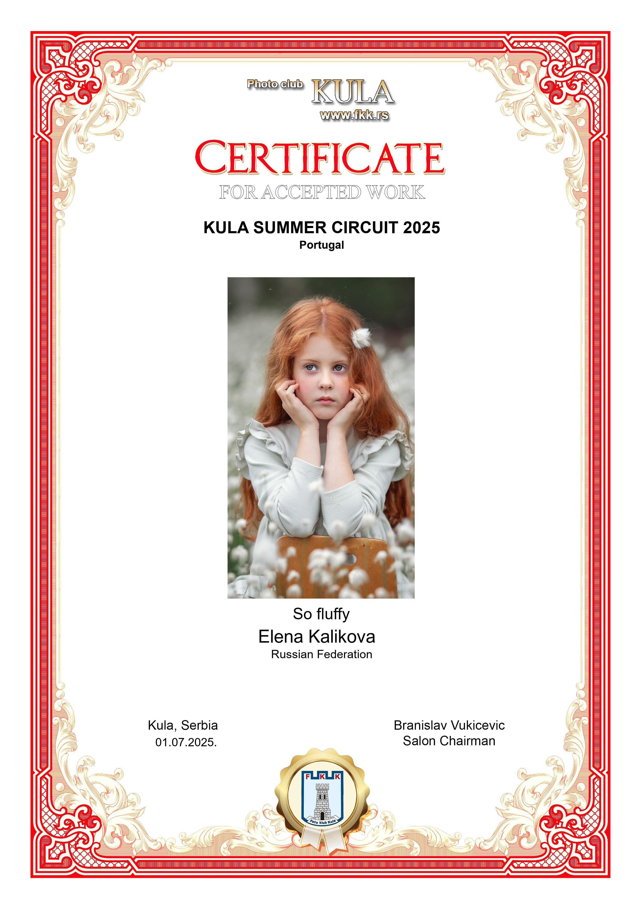 Дипломы и Награды. Семейный и детский фотограф в Екатеринбурге Каликова Елена