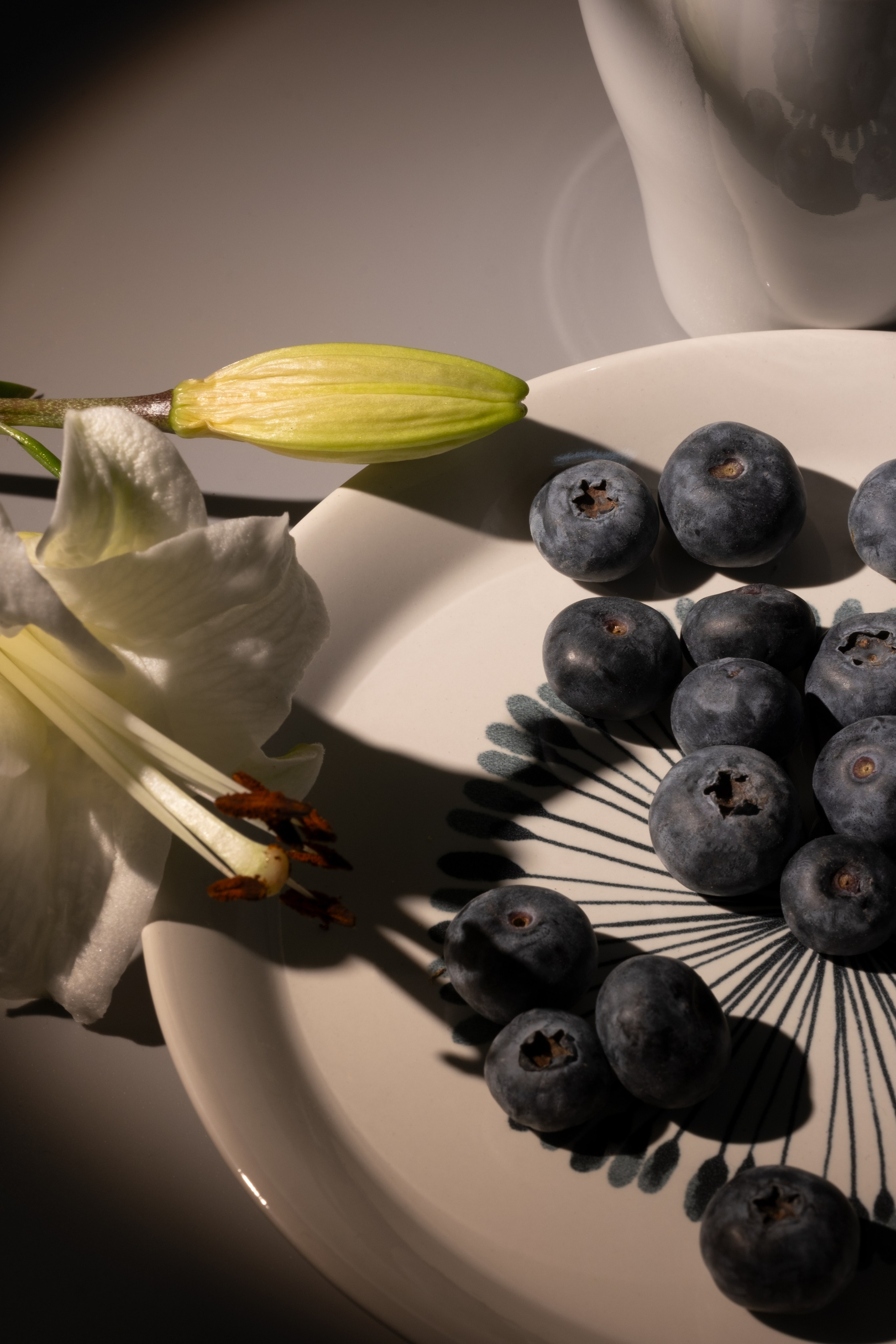 Черника. Фотограф Коробова Екатерина