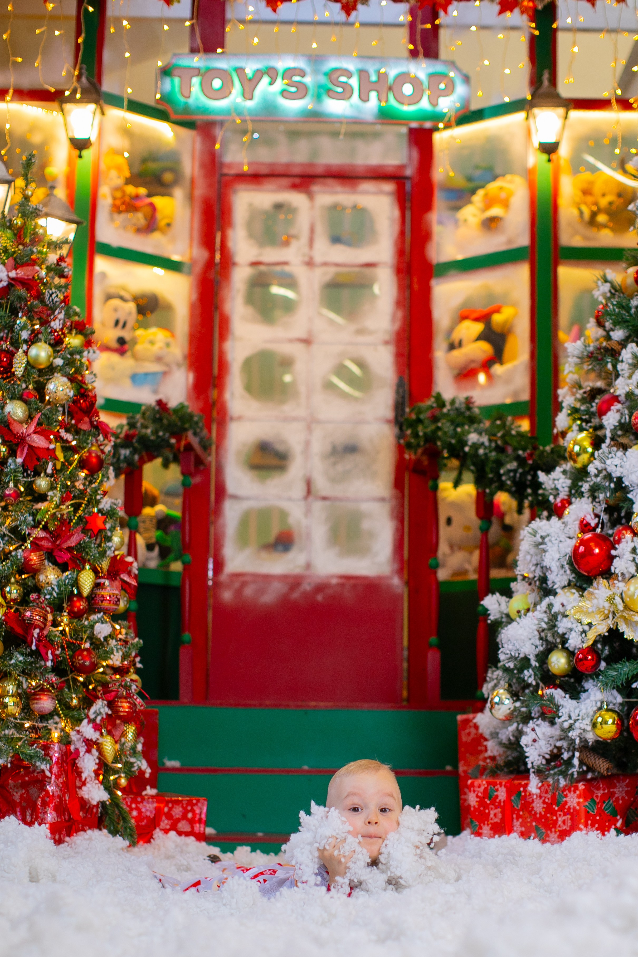 Егор и Олег. Семейный и детский newborn фотограф в Ростове-на-Дону Наталья Лебедева