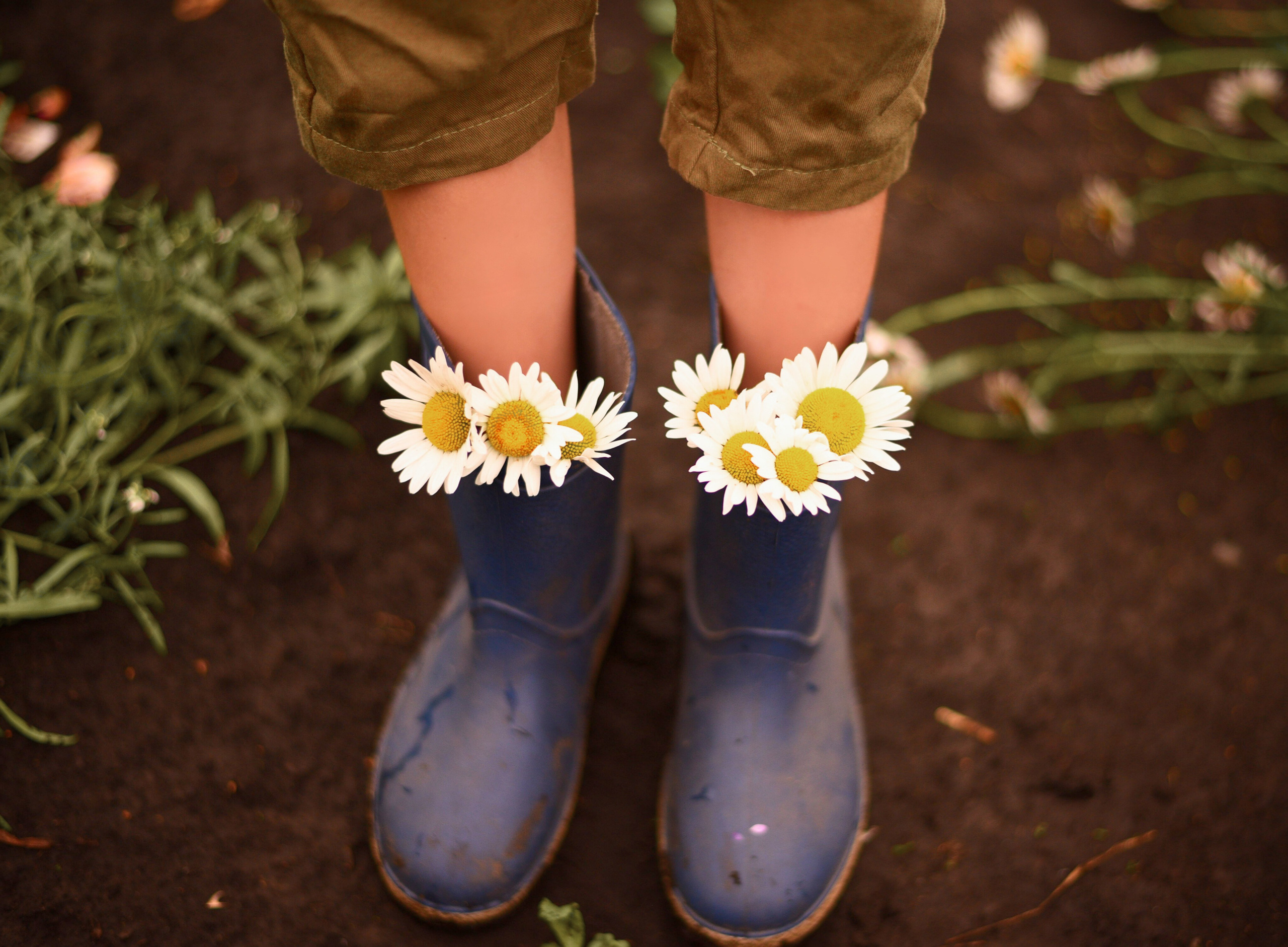 Дачные зарисовки. Приподаева Алёна семейный и детский фотограф в Красноярске