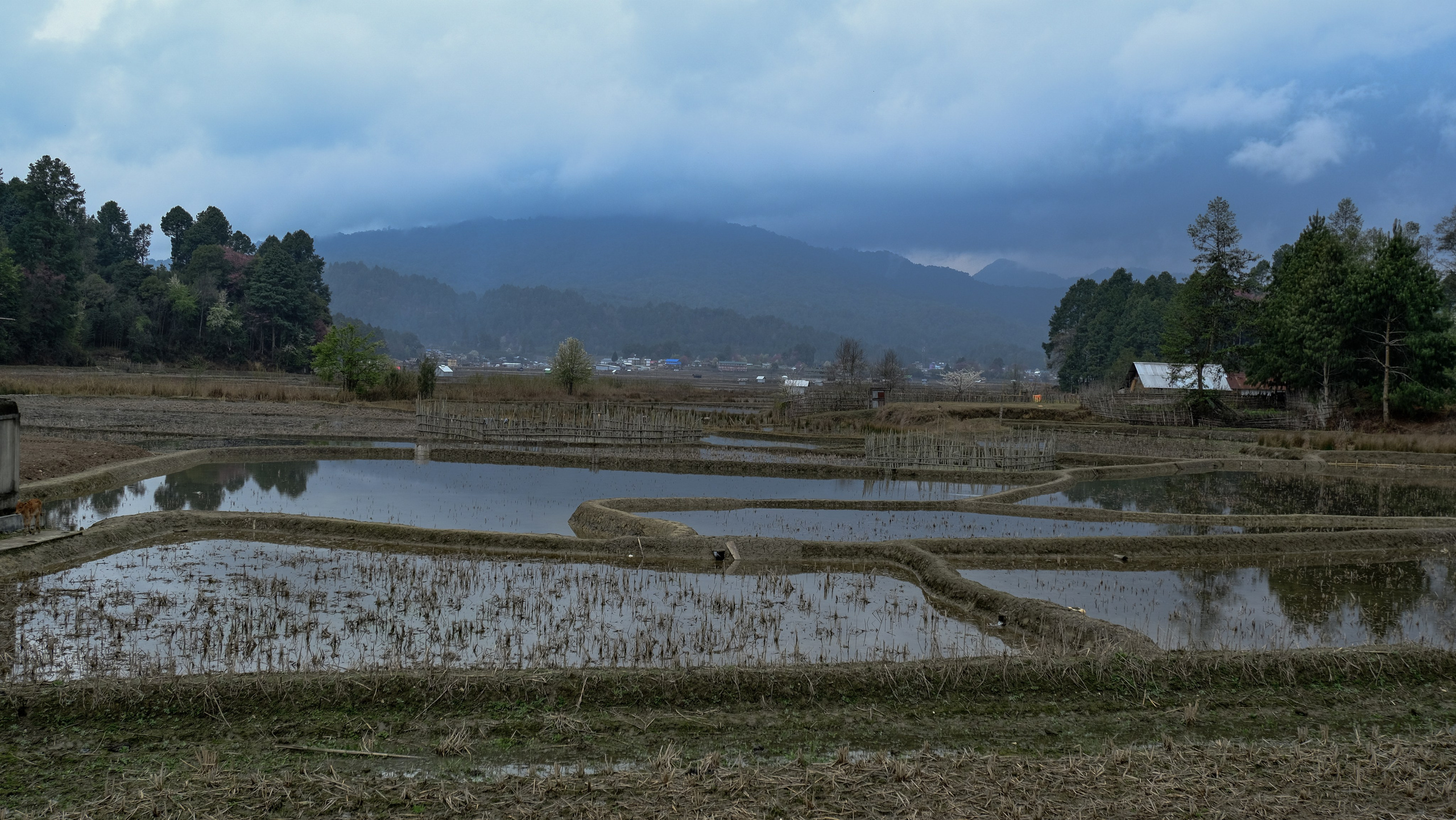 Жертвоприношение. Фотографии из путешествий