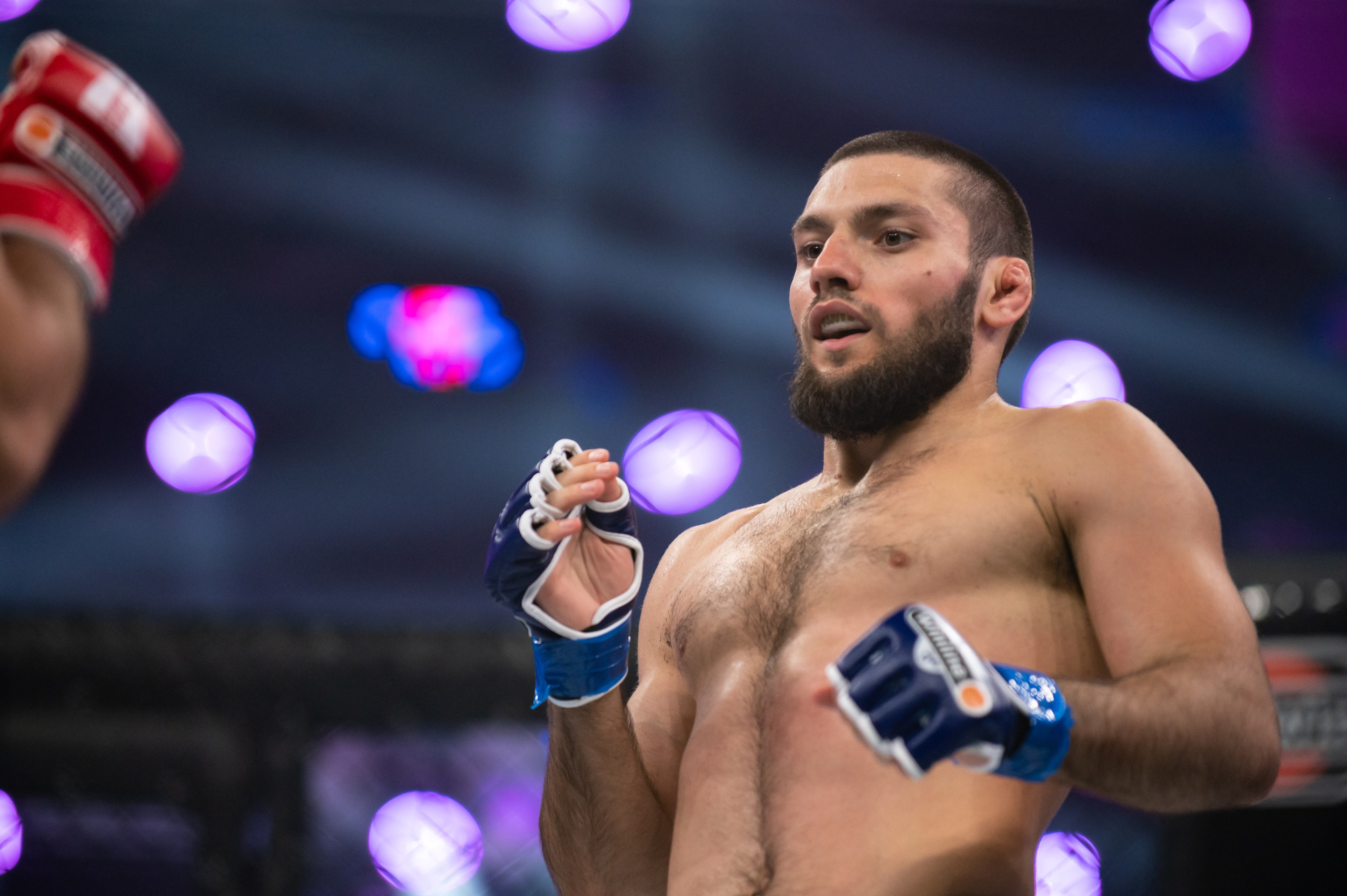 Бои. Репортажный фотограф в Красной Поляне и Сочи Павлюченко Екатерина