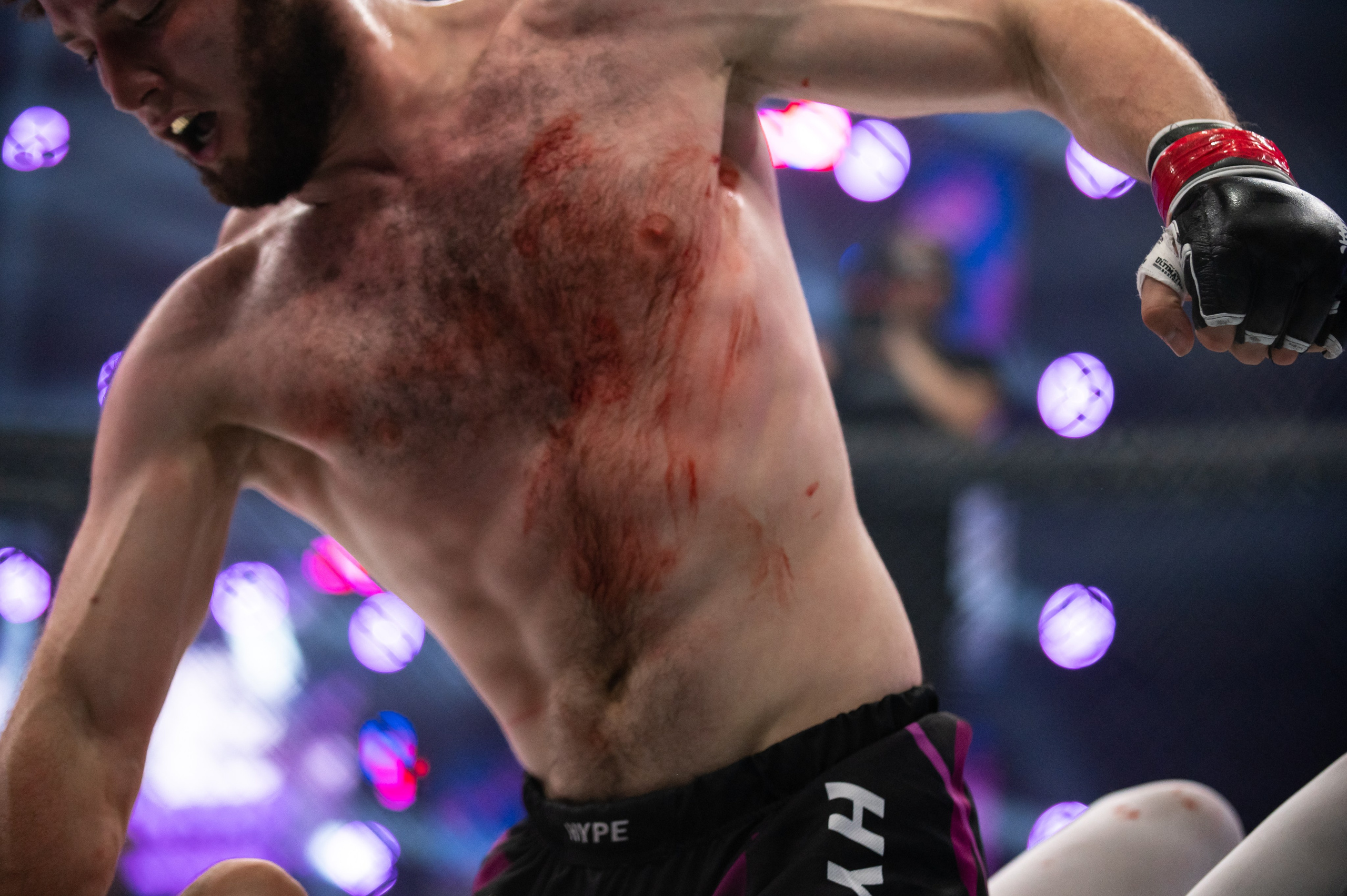 Бои. Репортажный фотограф в Красной Поляне и Сочи Павлюченко Екатерина