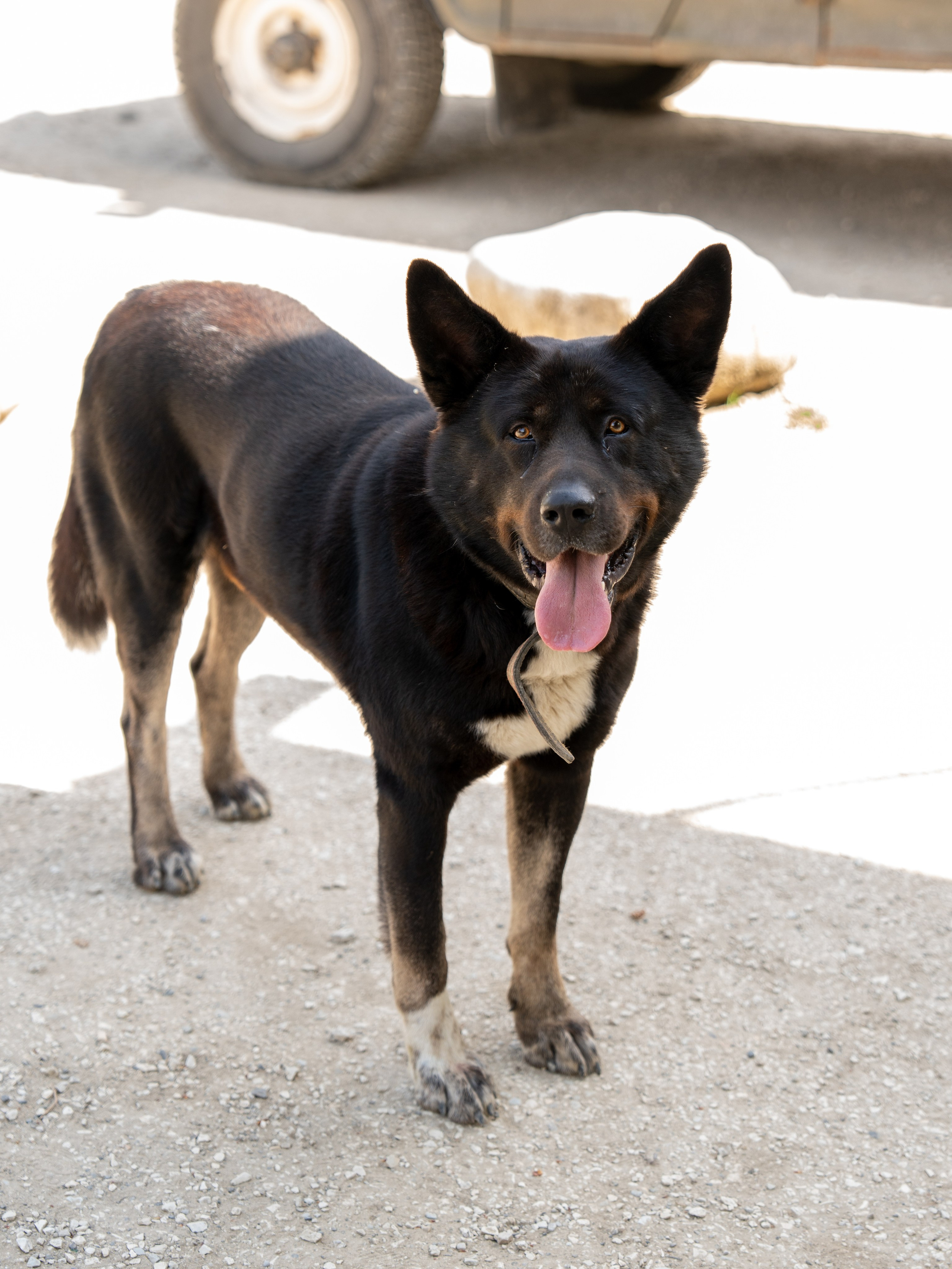 MICE мероприятие — джиппинг на каньон Псахо. Репортажный фотограф в Красной Поляне и Сочи Павлюченко Екатерина