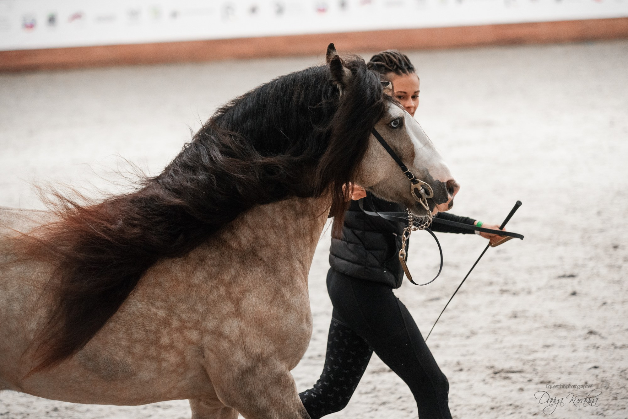 8-я международная выставка Конная Россия. Конный фотограф Куракина Дарья • Фотосессии с лошадьми