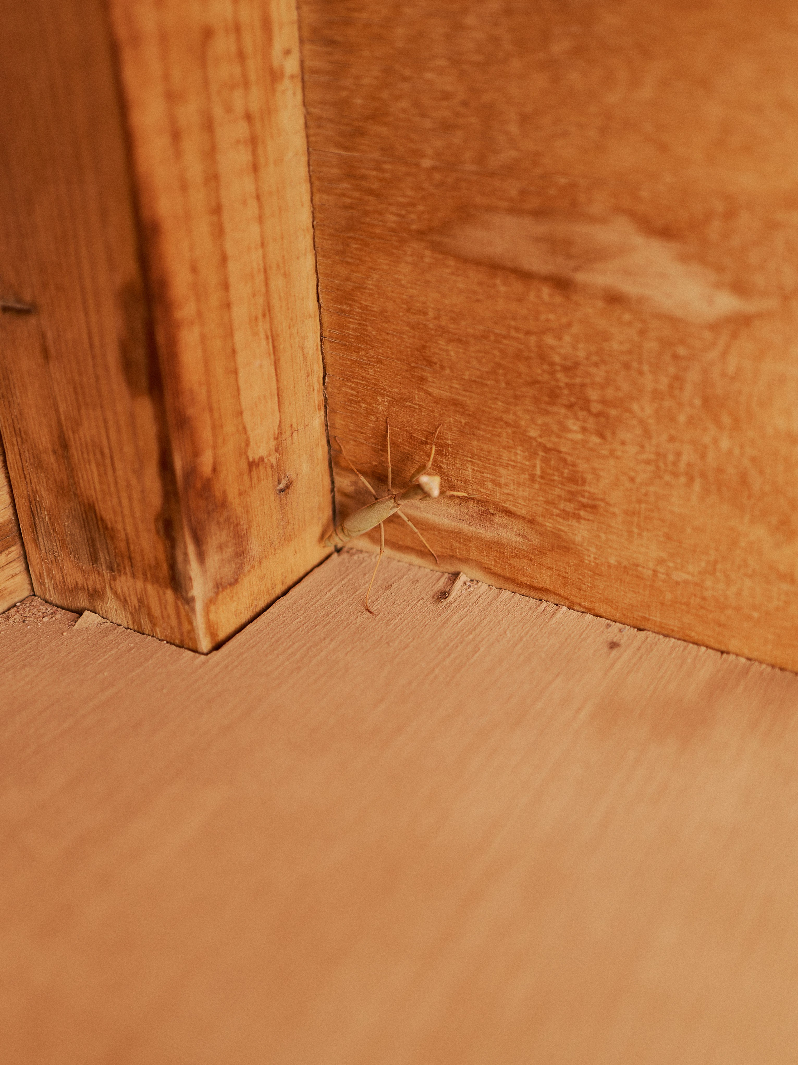 Другое 2. Jorgis Talè — photographer, kind person, teacher of arts and other mag