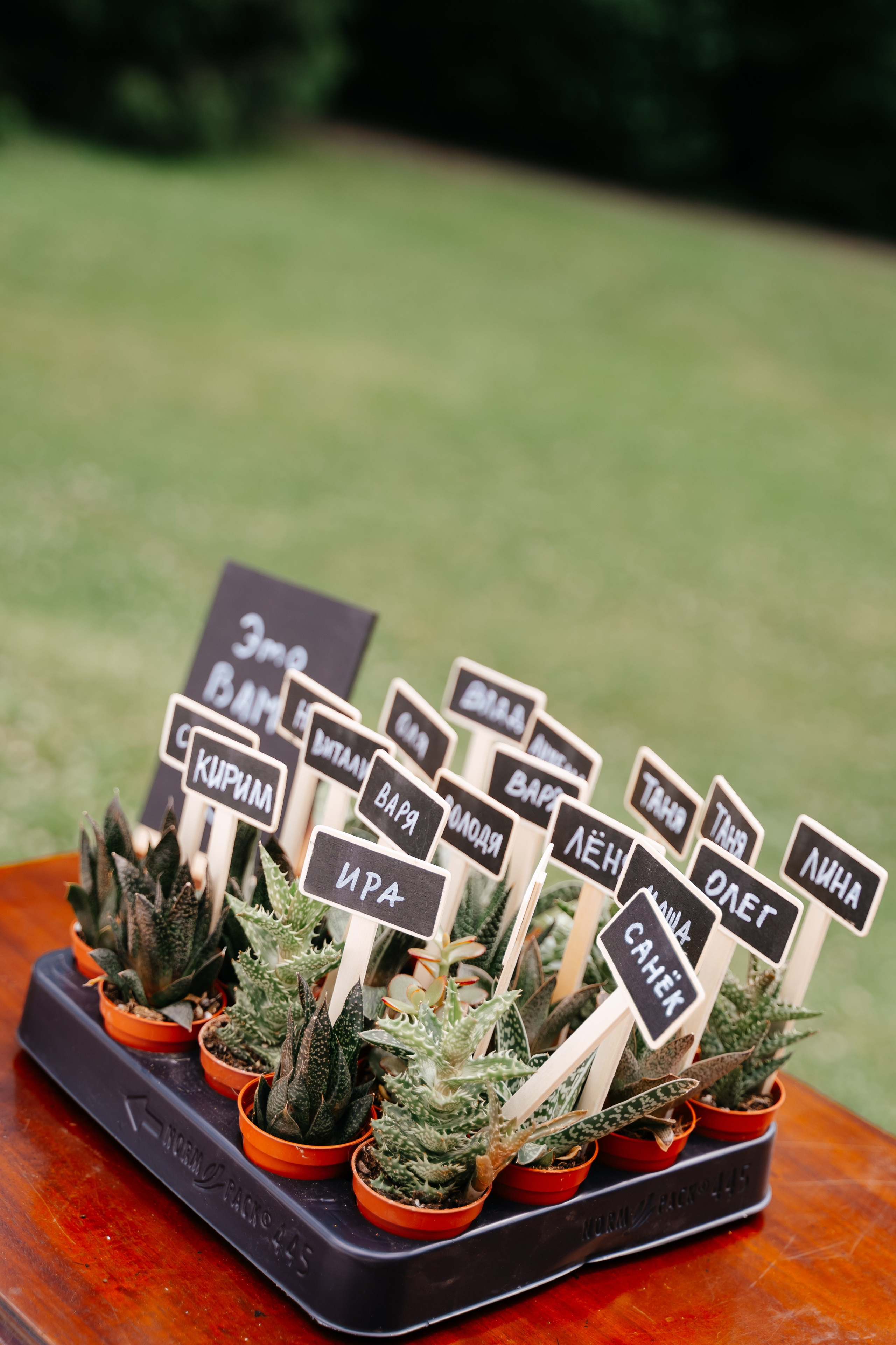 Свадьба загородом в Москве