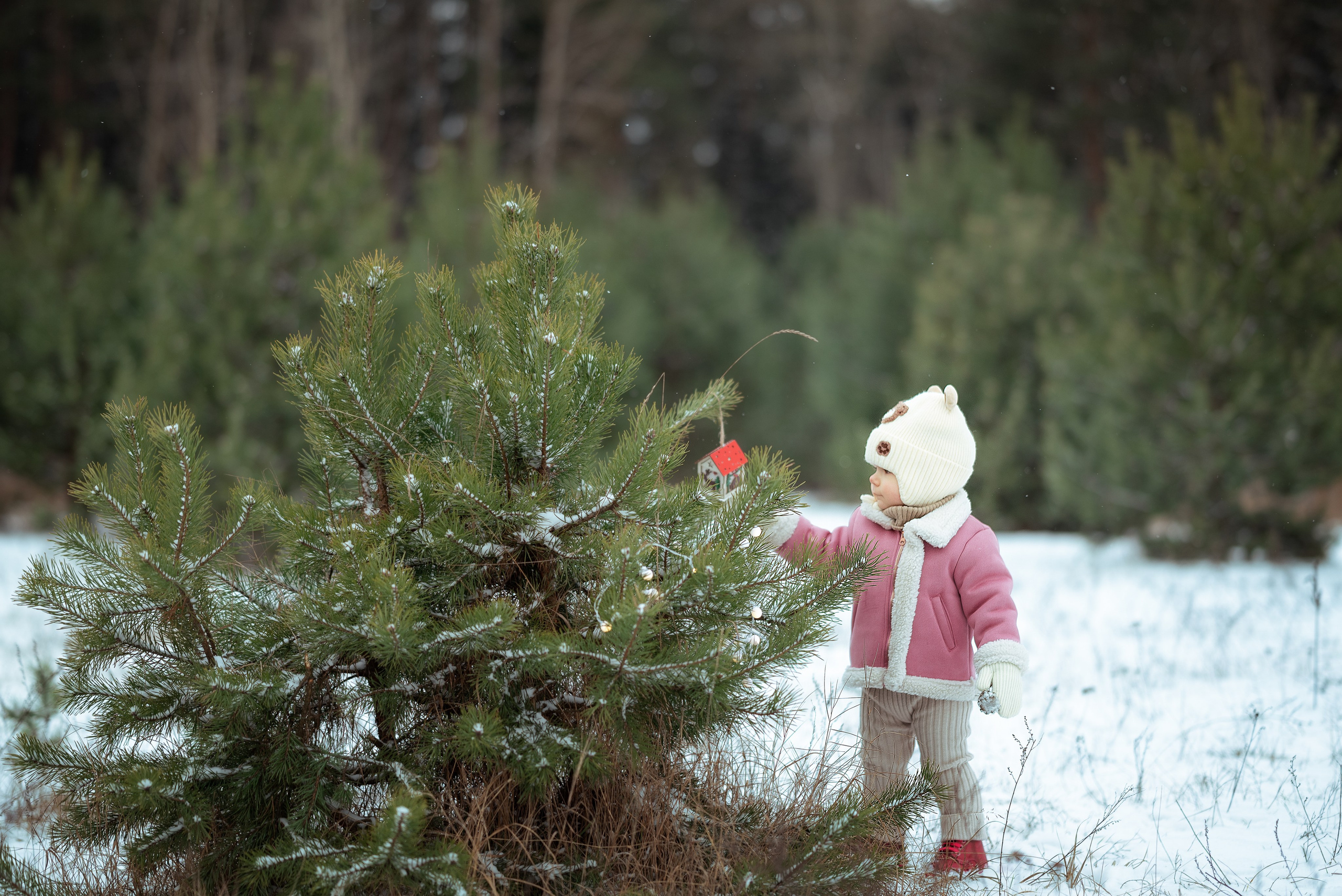 Портфолио. Фотограф в Минске Дарья Кончакова