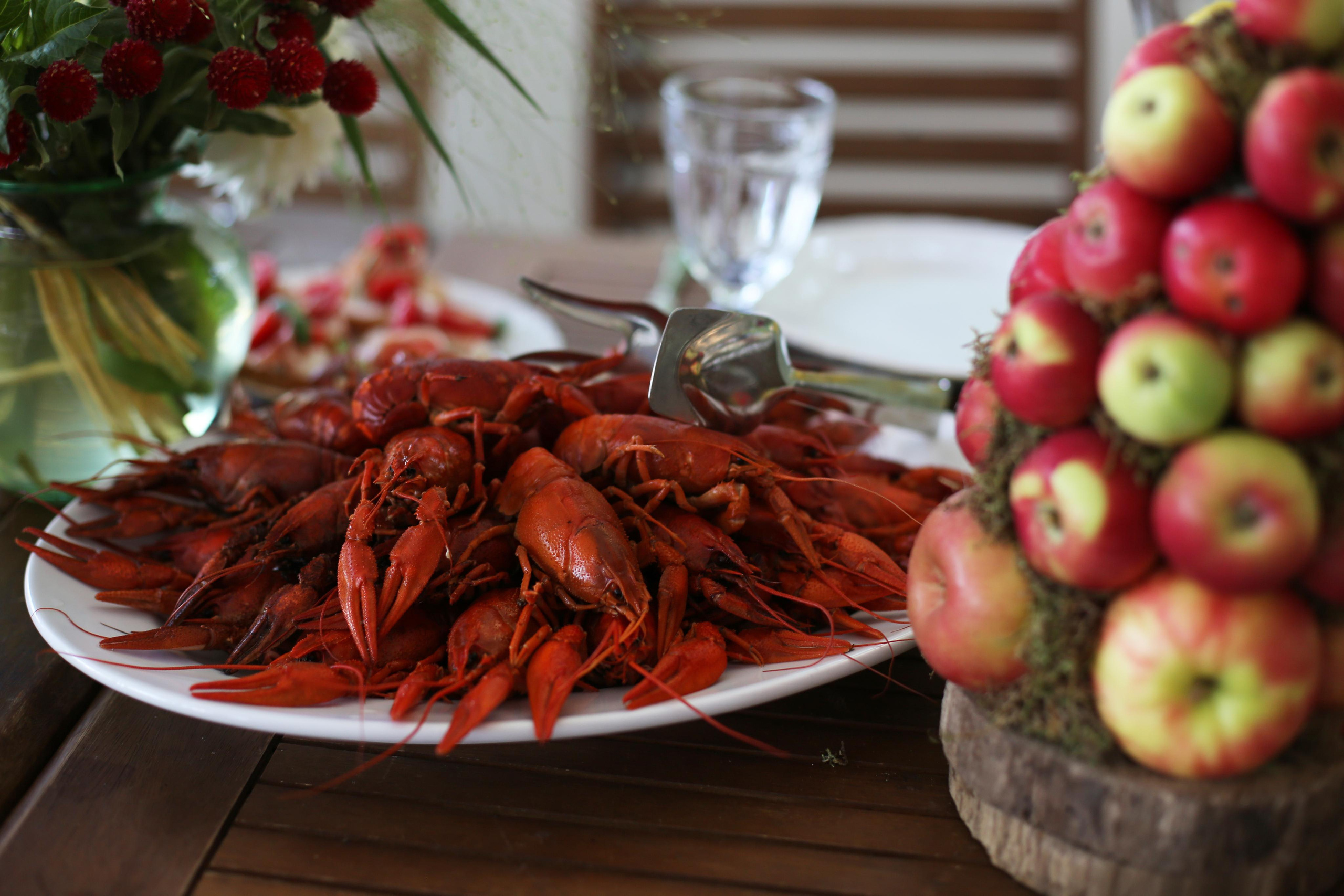 Съемка мероприятий (репортаж). Портретный фотограф в Москве Екатерина Селянина