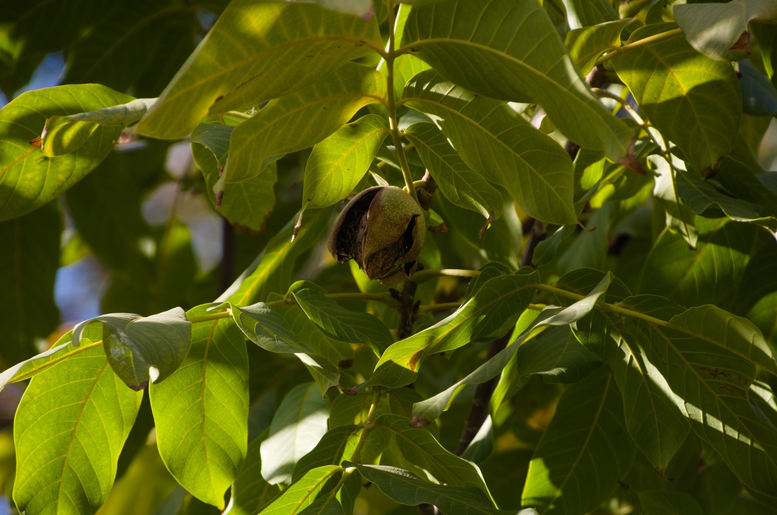Астрахань | 17-18.10.2020. Галерея Фантим
