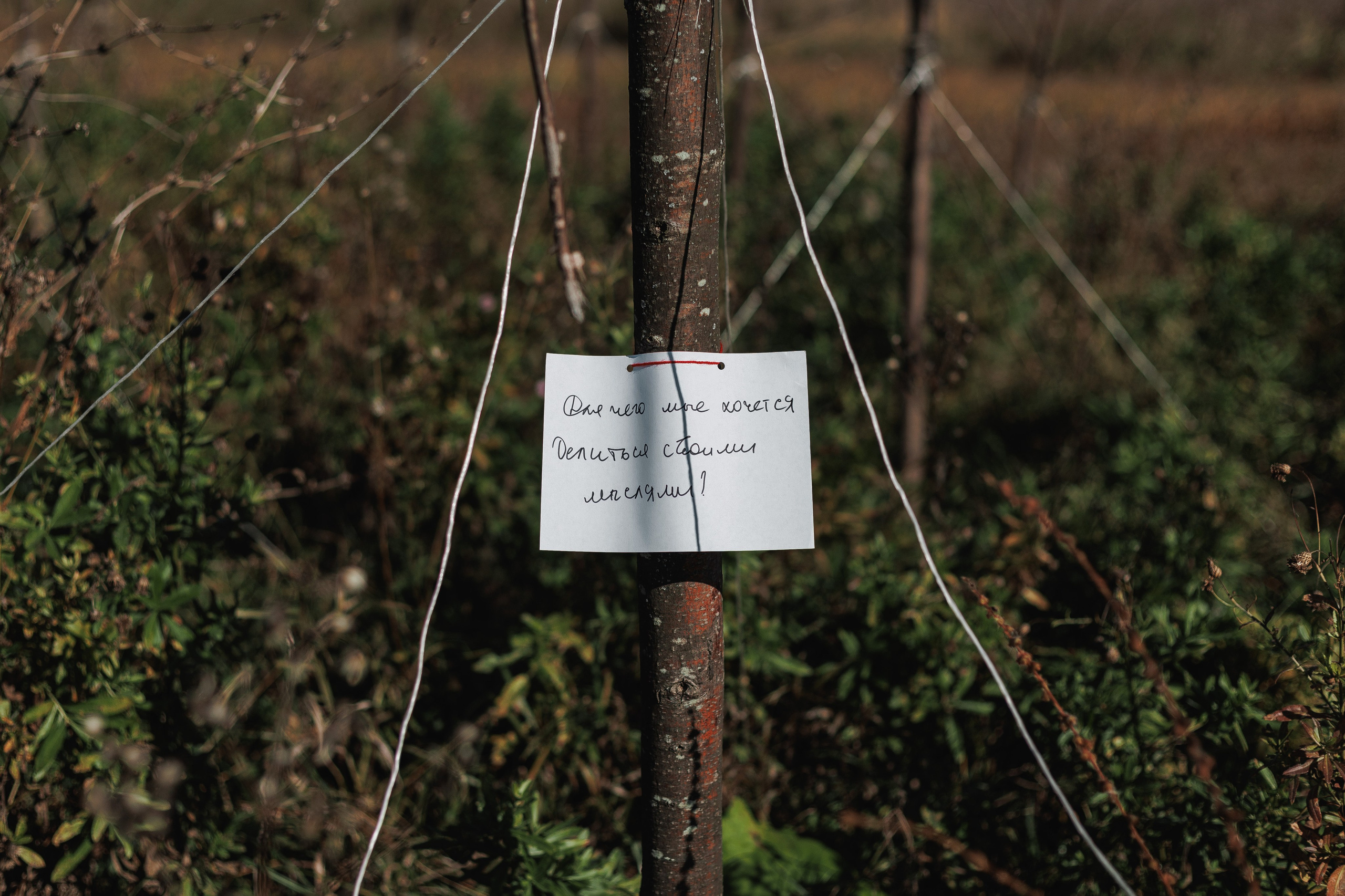Съемка перформанса. Ксю Галиасфарова — Фотограф Казань