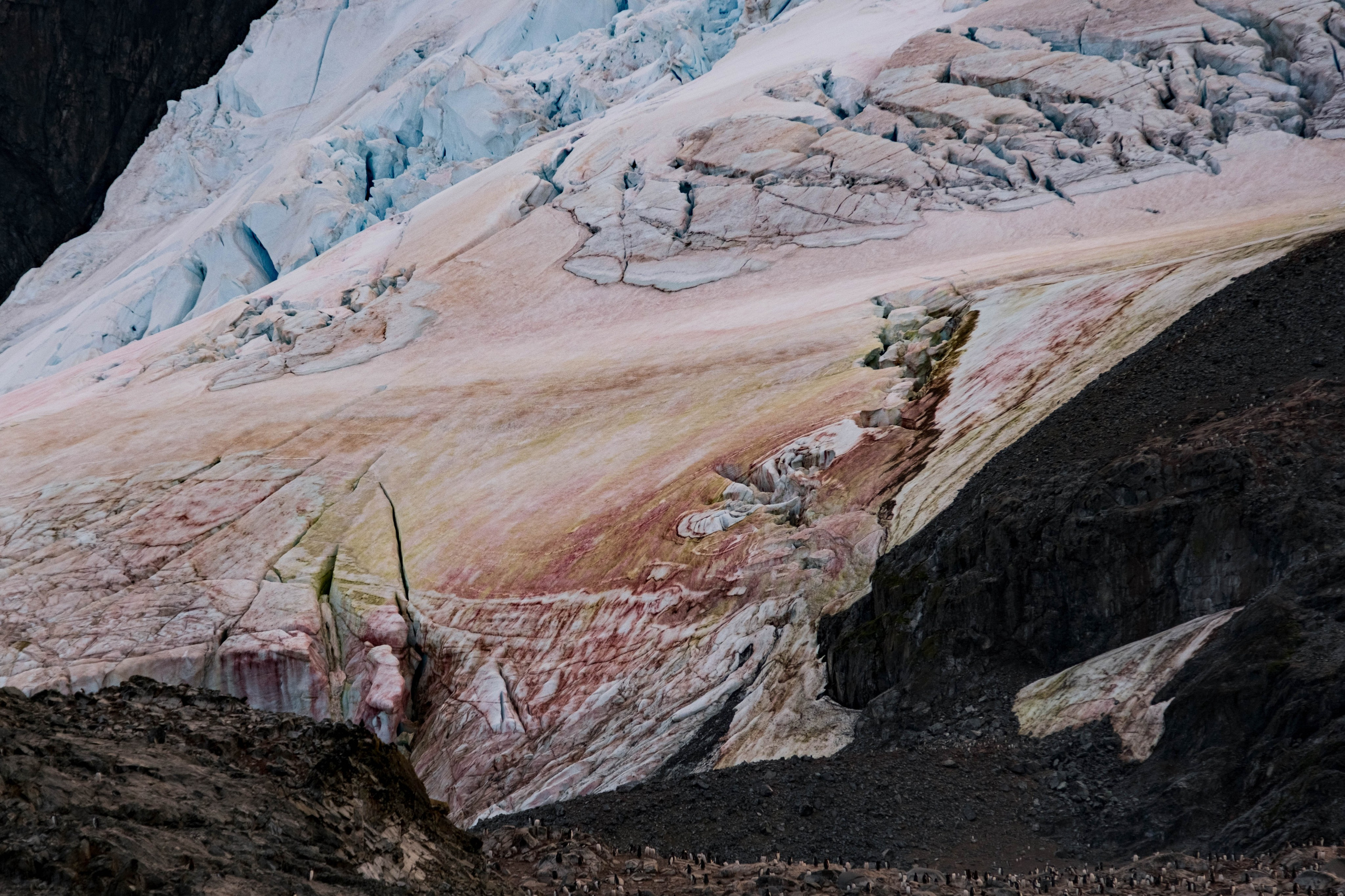 Материк и льды. Фотографии из путешествий
