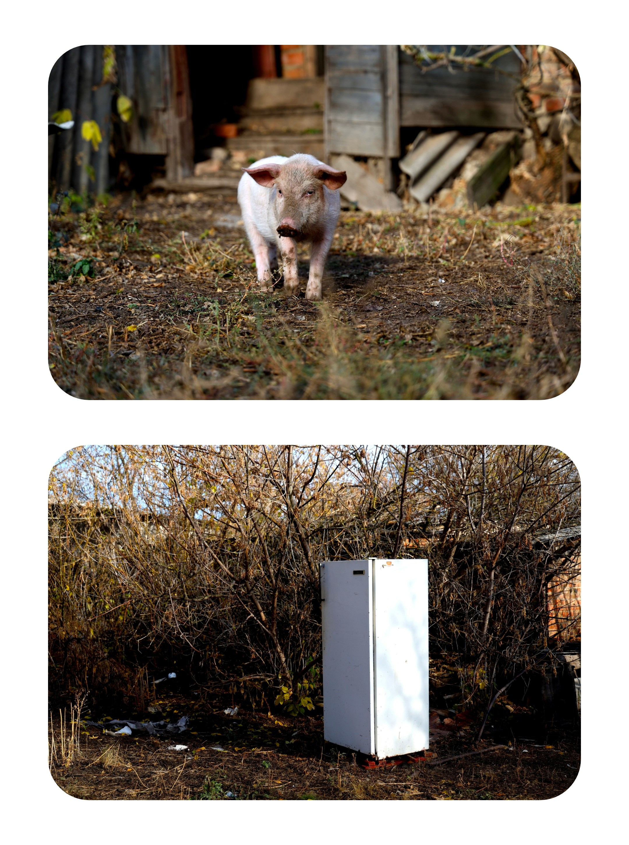 ph: Владимир Корсун