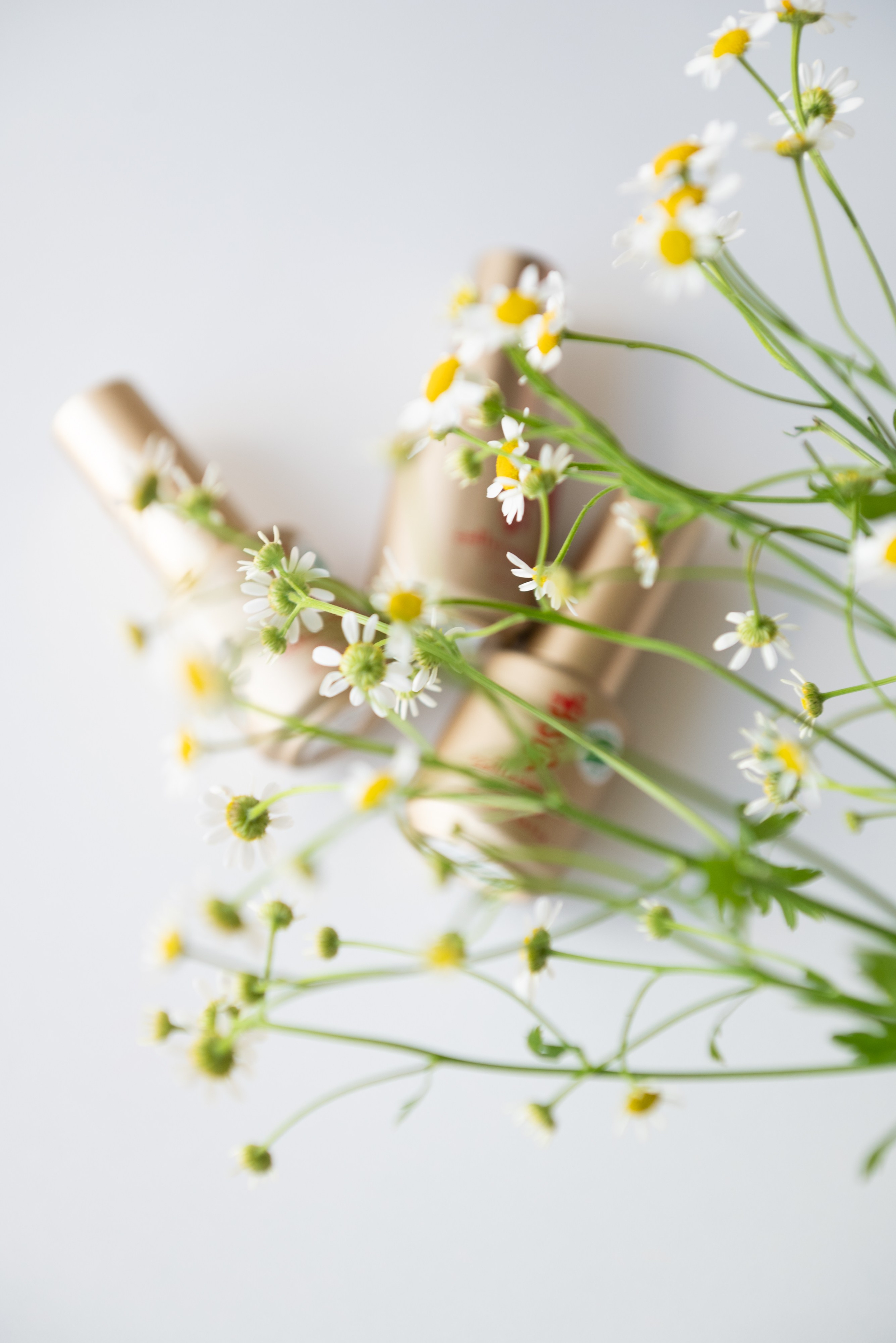 Салон красоты «Лайм». Фотограф Москва Настя Профотовна. Репортажные, свадебные и контент фотосессии