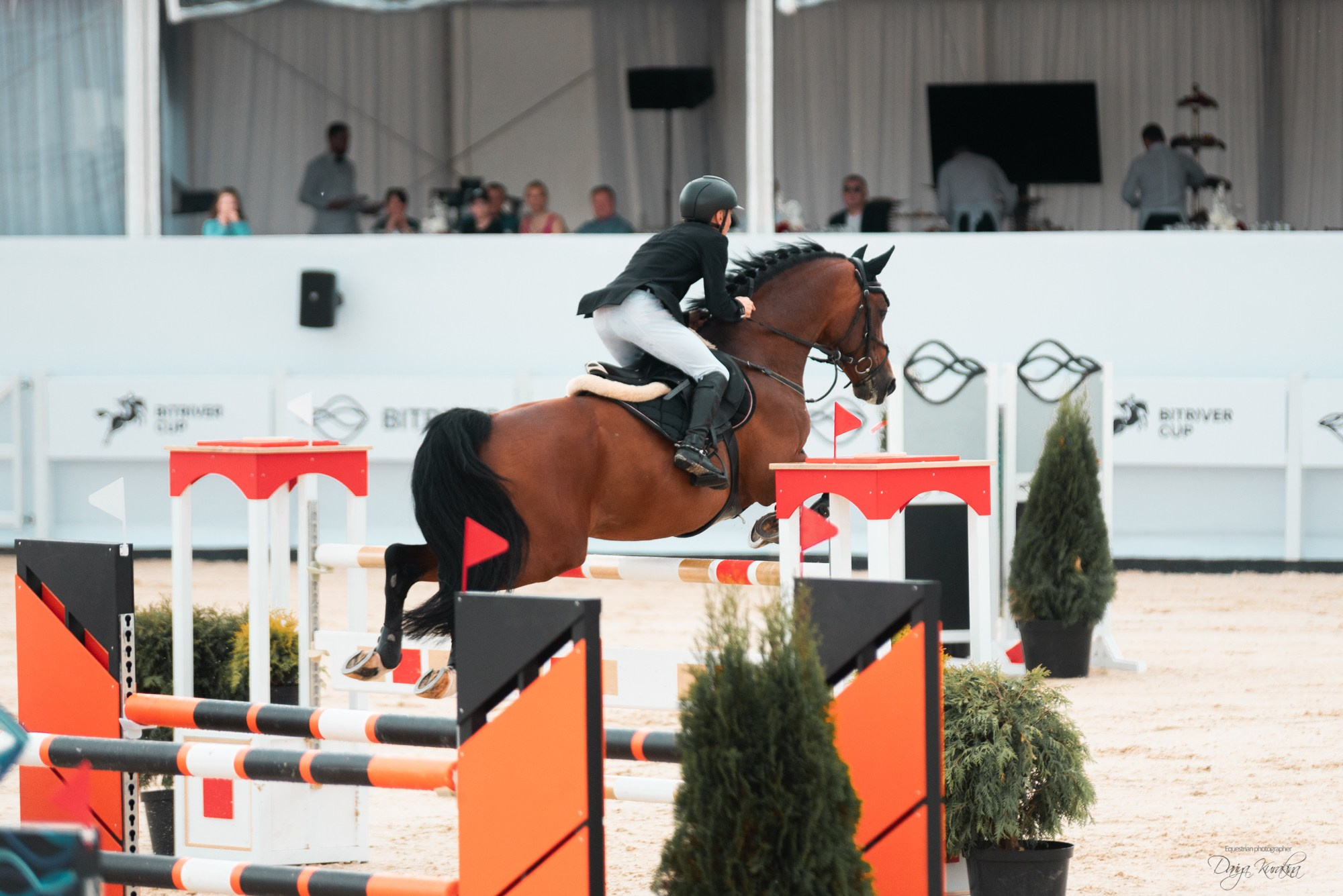 BITRIVER CUP 2023. Конный фотограф Куракина Дарья • Фотосессии с лошадьми