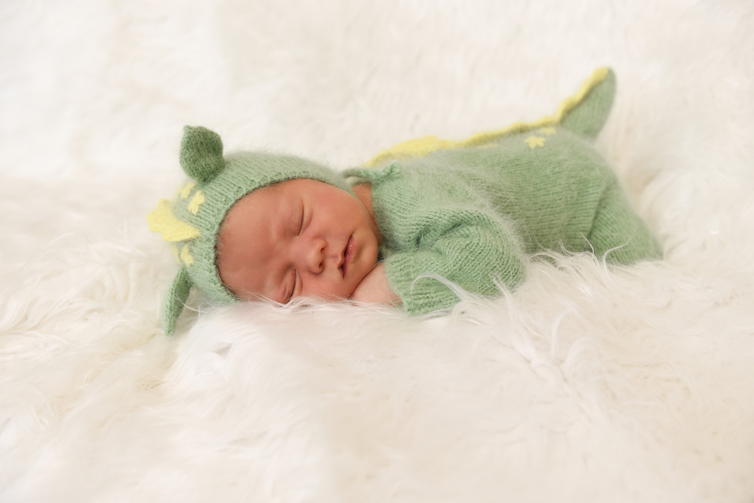 Артем-динозаврик. Семейный, детский и школьный фотограф в Димитровграде Наумова Екатерина