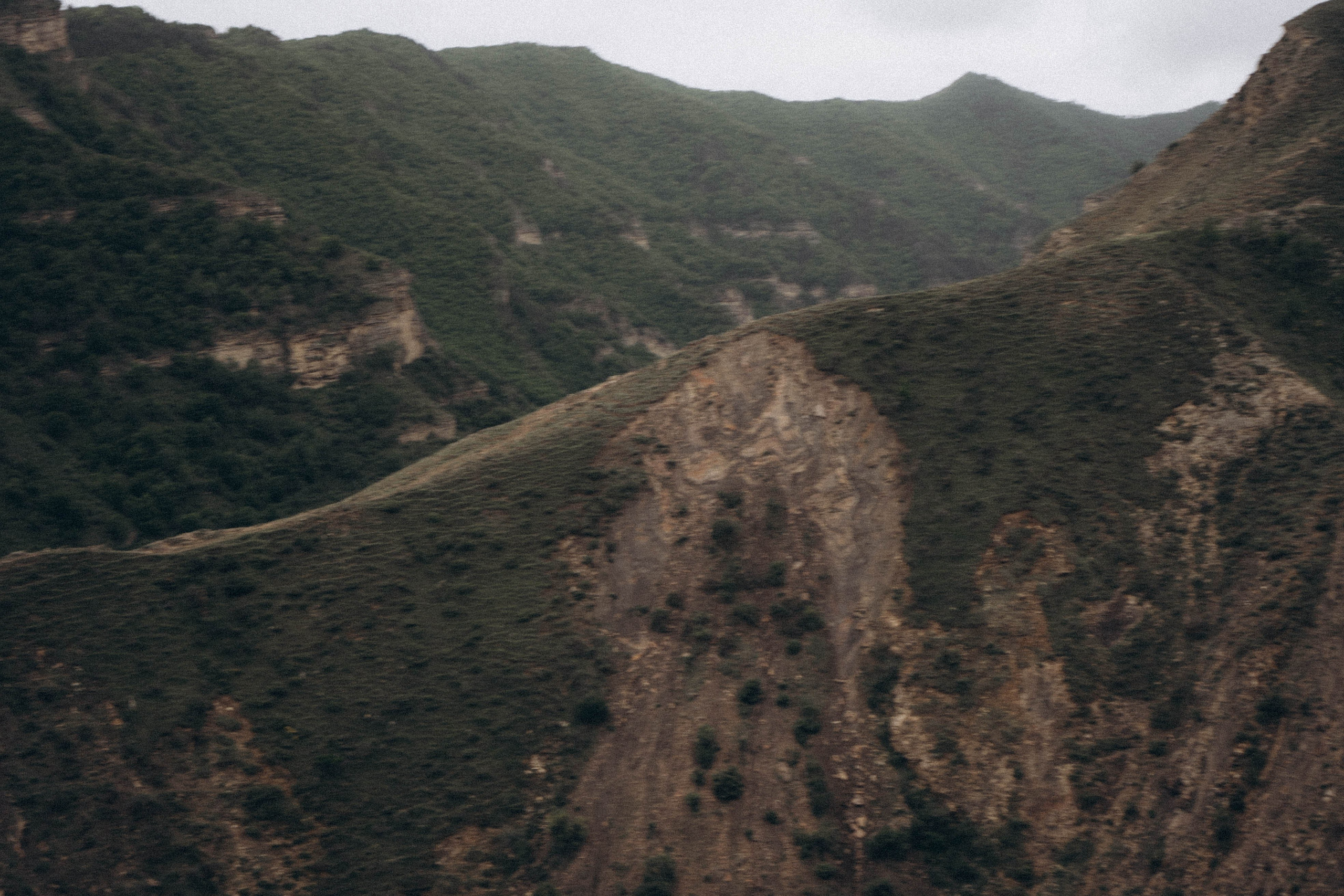 Кавказ. Профессиональный фотограф, Санкт-Петербург — Виктория Богомолова