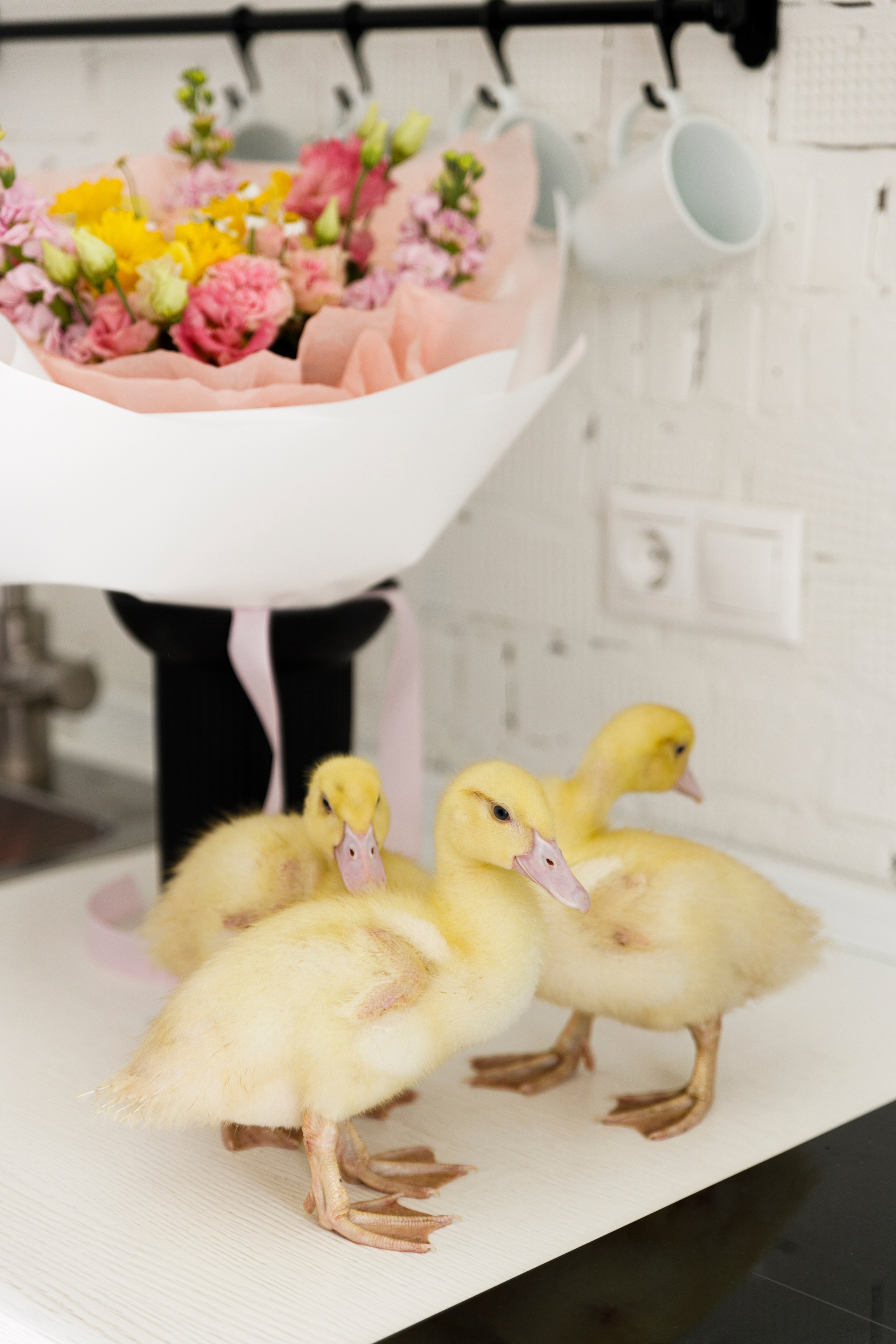 Услуги. Фотограф в Самаре Алена Гречка