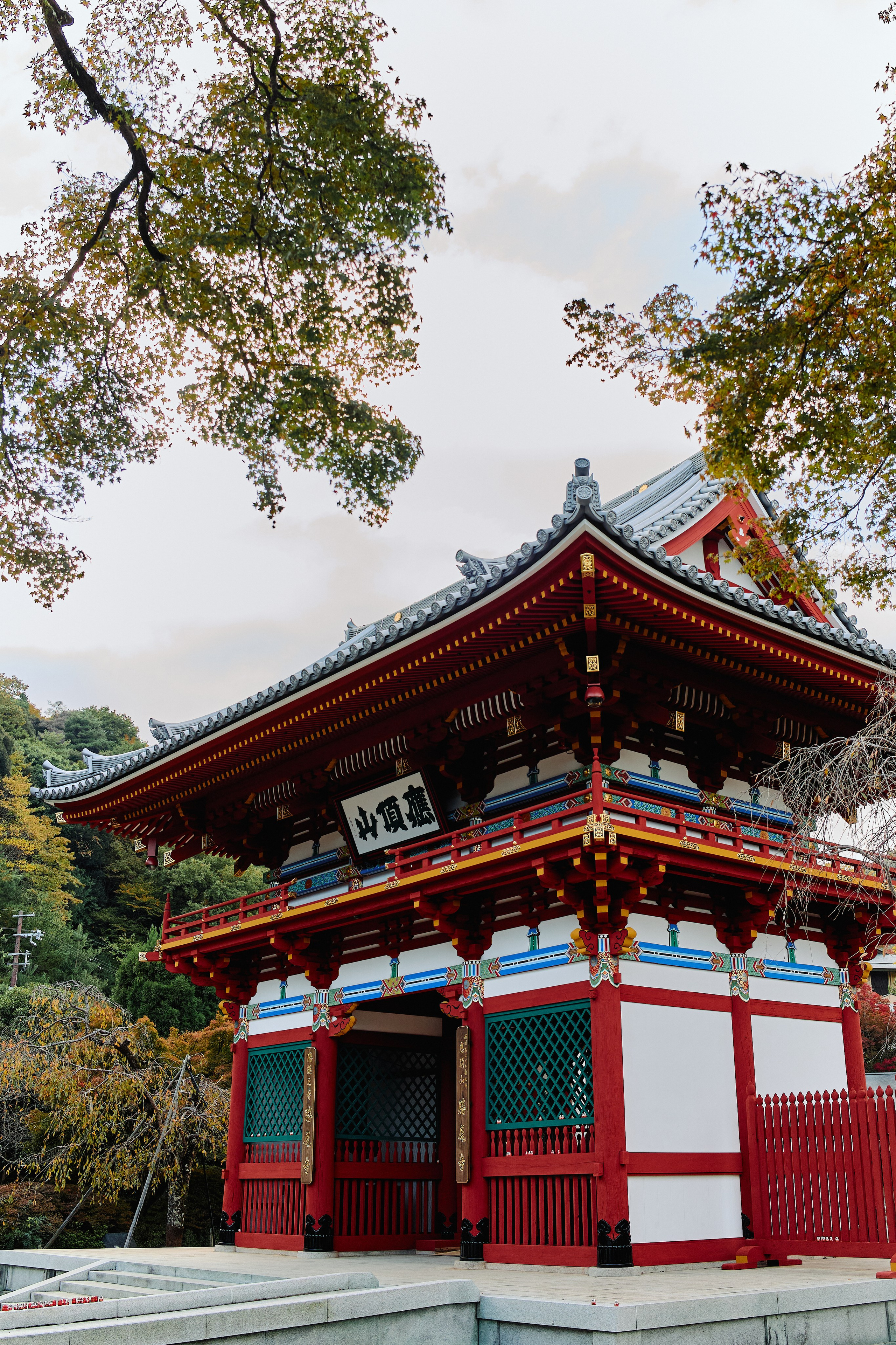 Япония. Профессиональный Фотограф во Владимире, в Москве и в Суздале — Полина Романычева