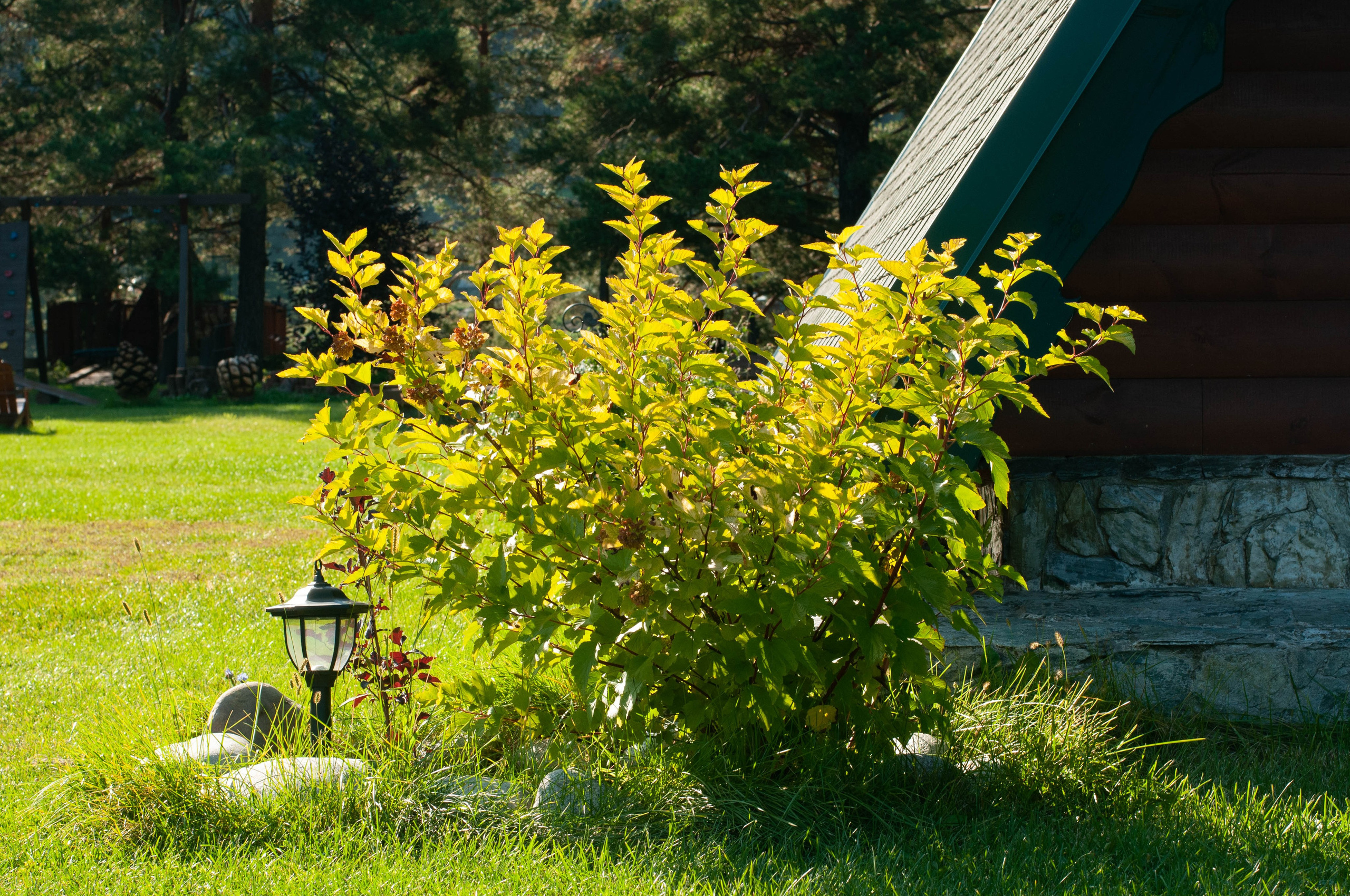 Интерьеры, ландшафты, предметы. Портретный фотограф в республике Алтай Юлия Шевченко