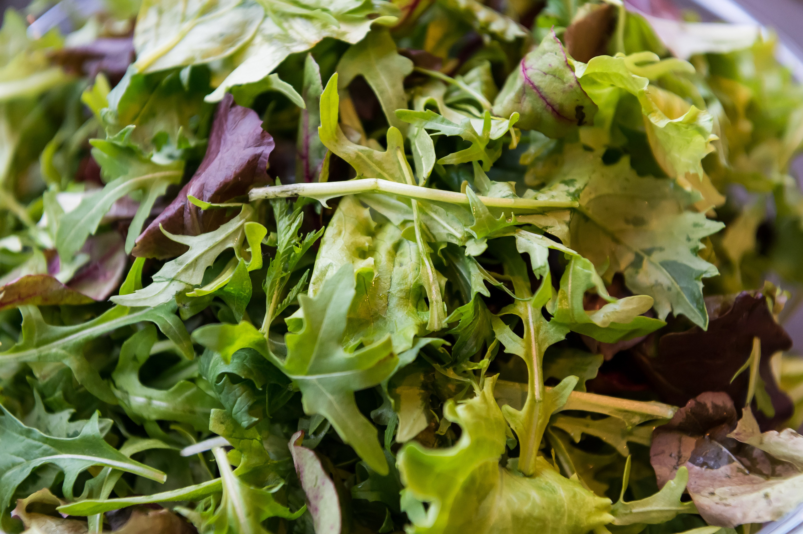 BORK. 2017. Дима Бабушкин. Фотограф. Подиум. Репортаж. Творчество. Дорого