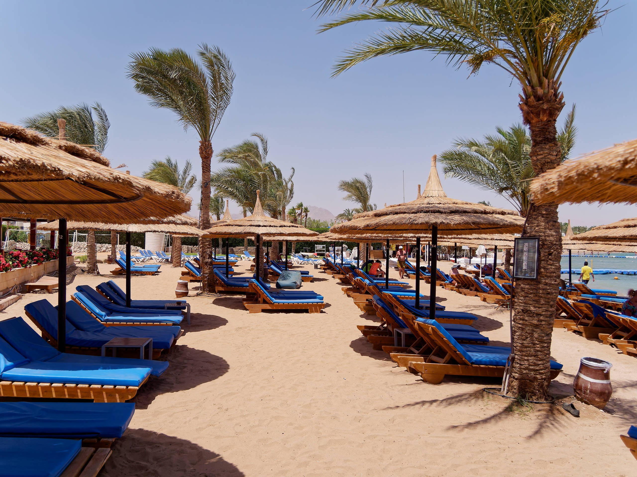 Шарм-эль-Шейх 2022 (1). Избранные фотографии