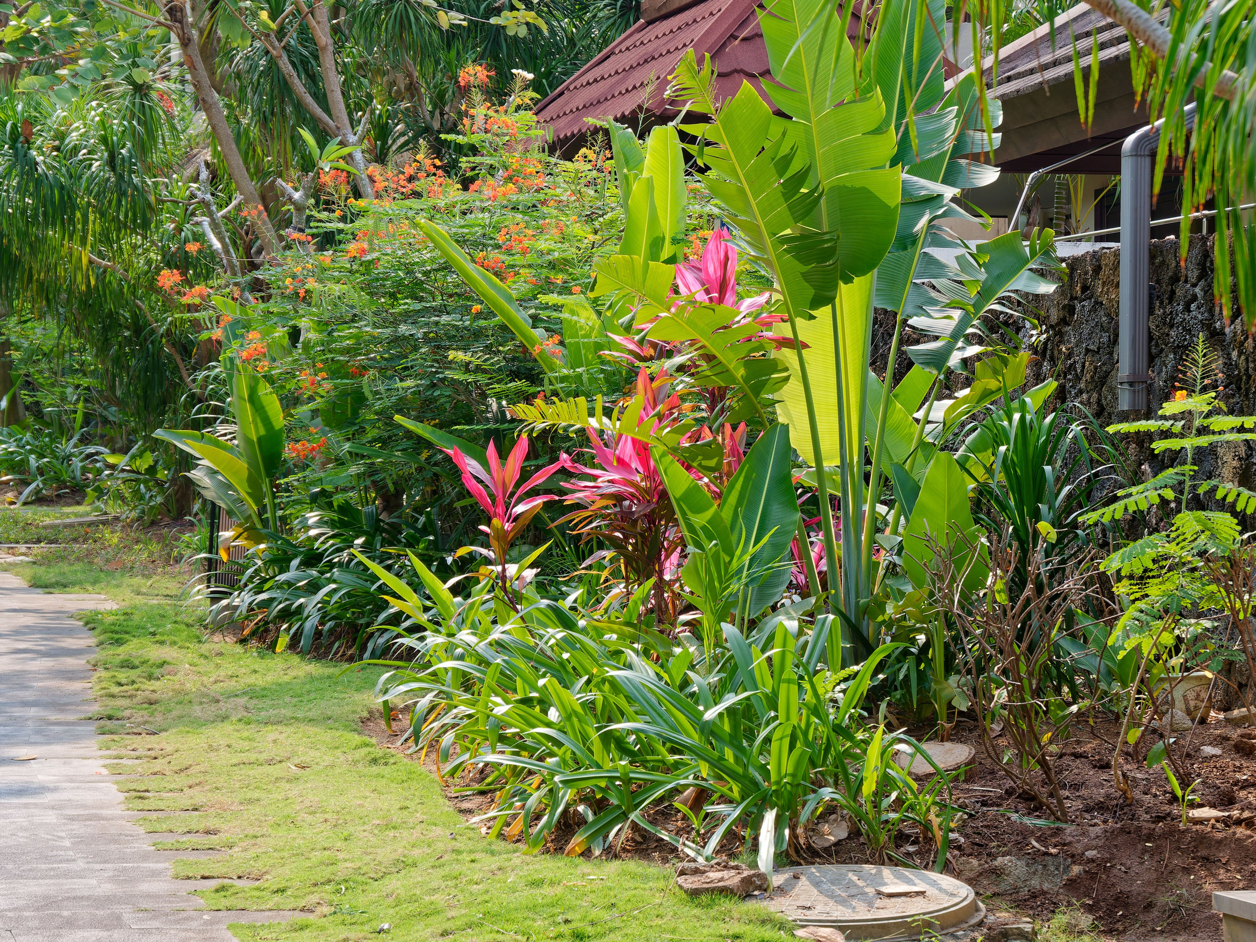 Хайнань 2026, первые впечатления. Фотопрогулки по Миру