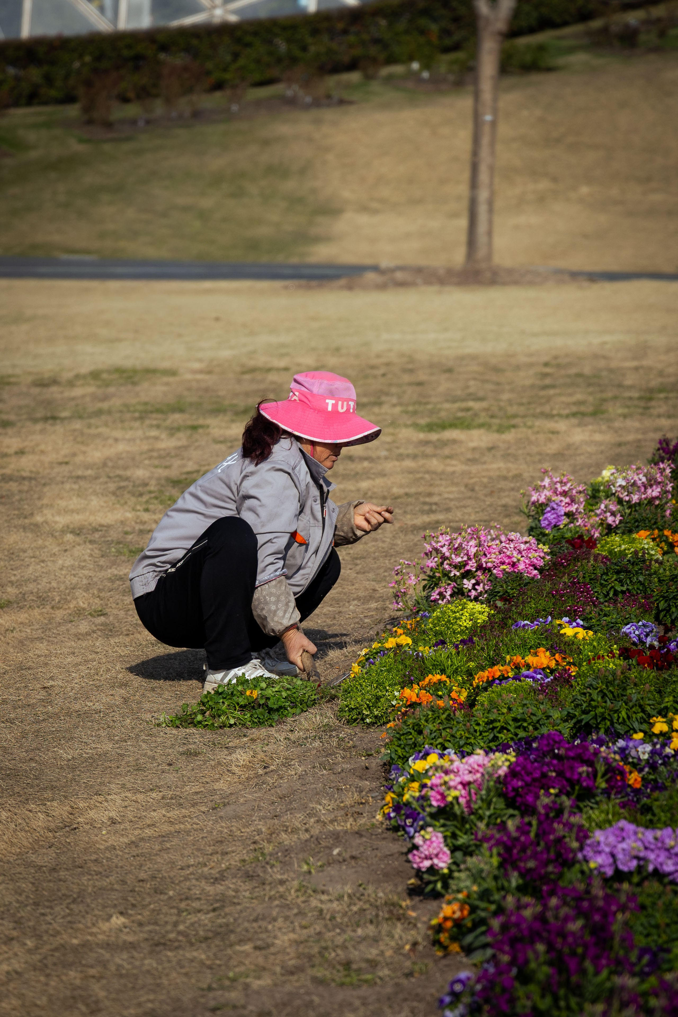 Шанхай (март 2026). Фотограф Виноградов Константин