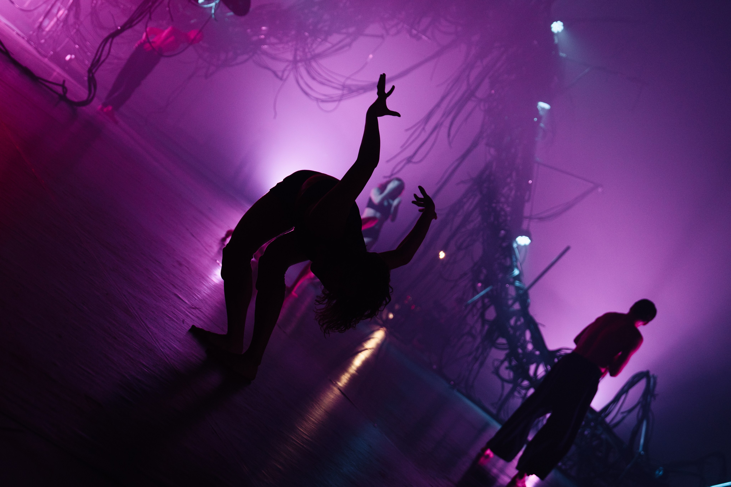 PERFORMA, The Hour of the Horse. @tomrus: Рустам Шагиморданов — фотограф