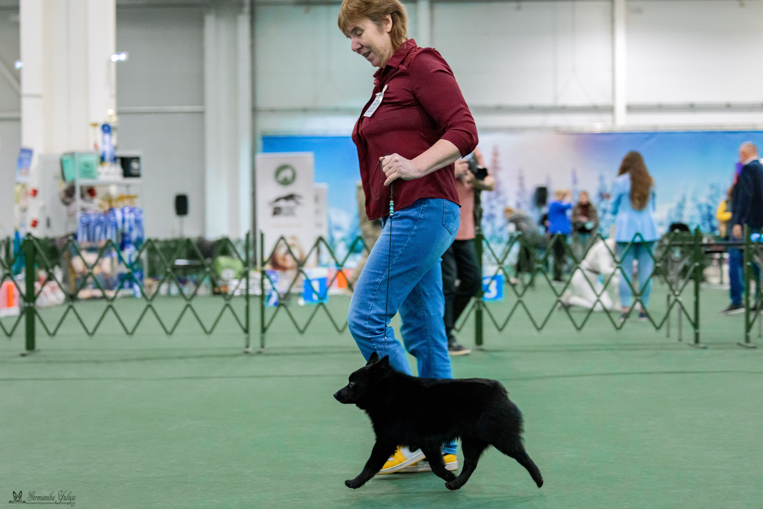 Крокус 3,9 и 10.12.2023. Фотограф-анималист Юлия Германика