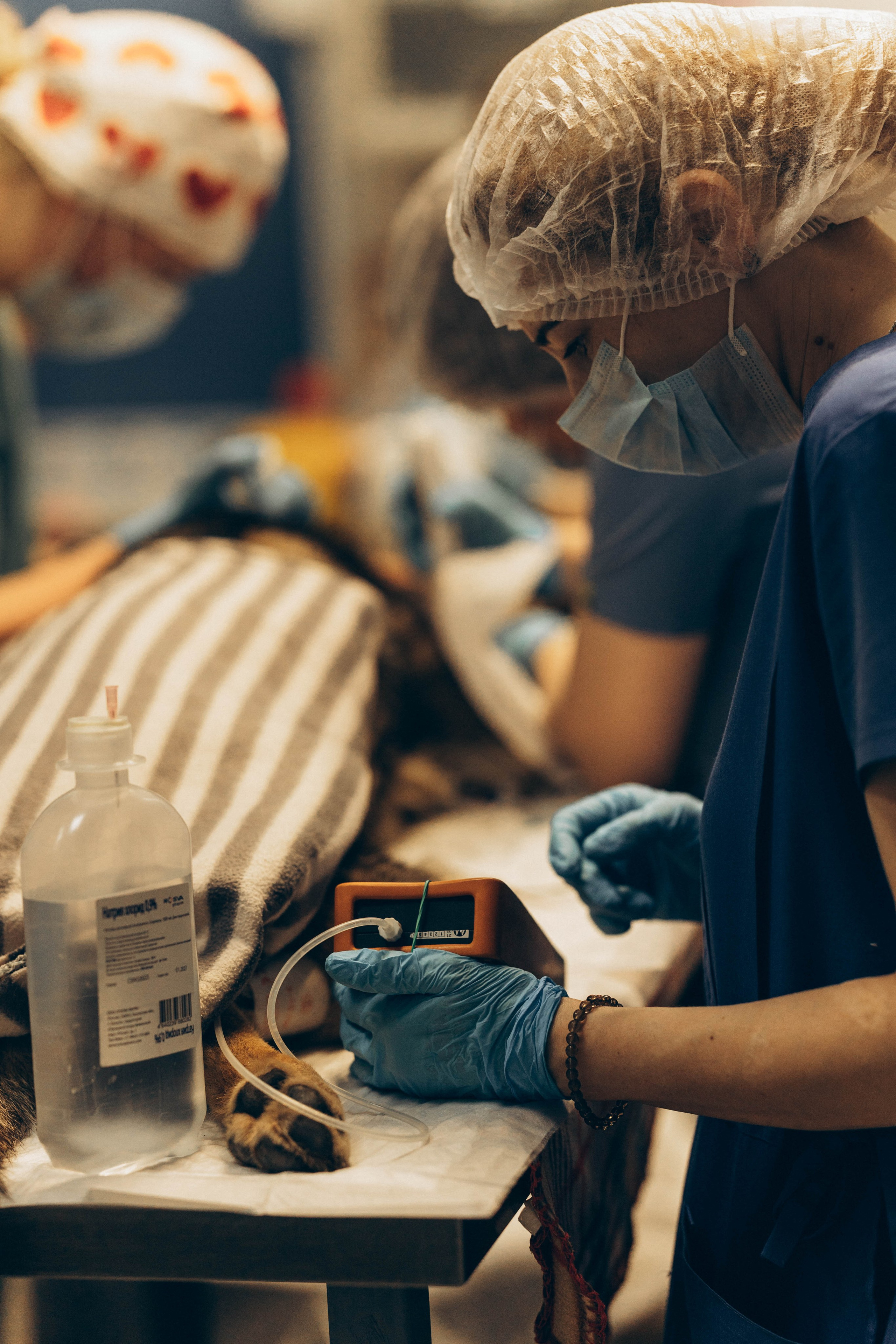 VetLife. Татьяна Афонина | Фотограф