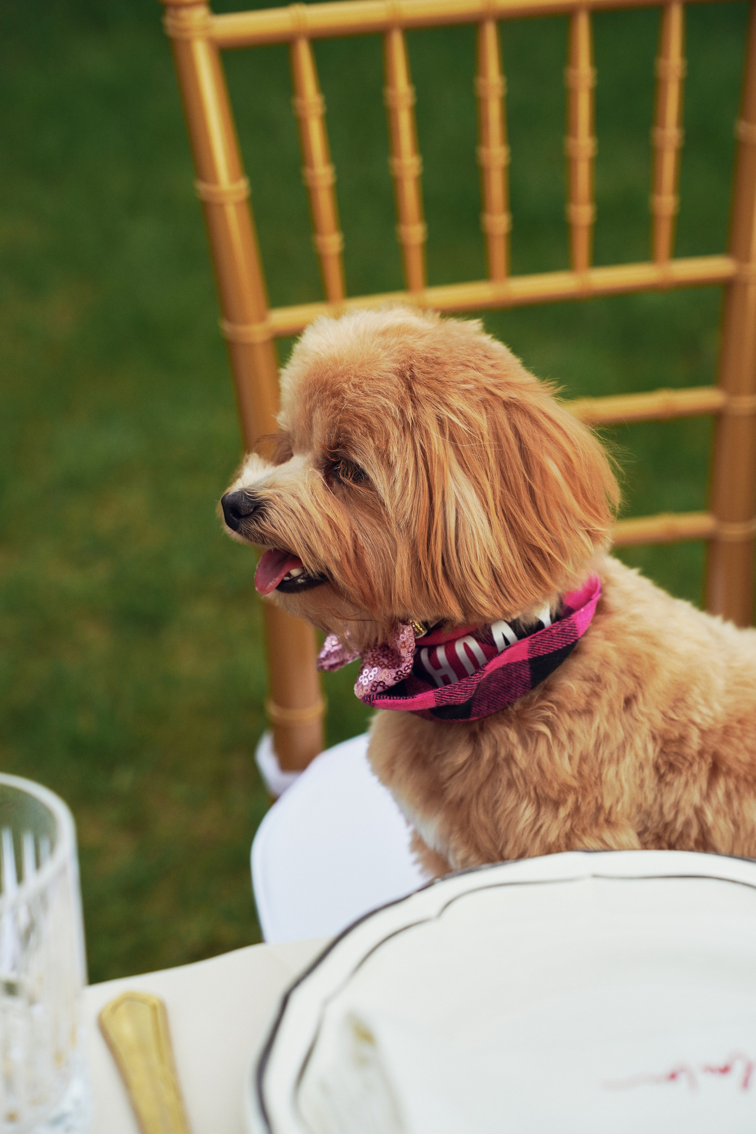 День Рождения Екатерина. Фотограф